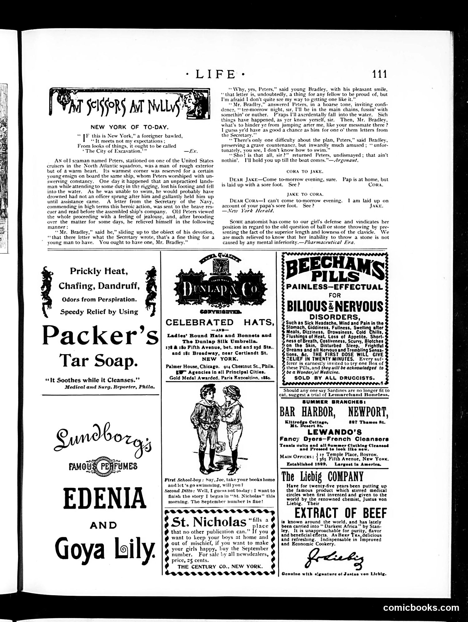 Life — August 27, 1891 — page 13 of 14