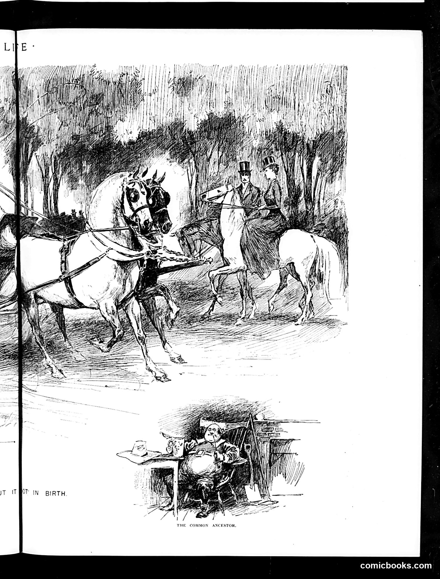Life — September 10, 1891 — page 9 of 14