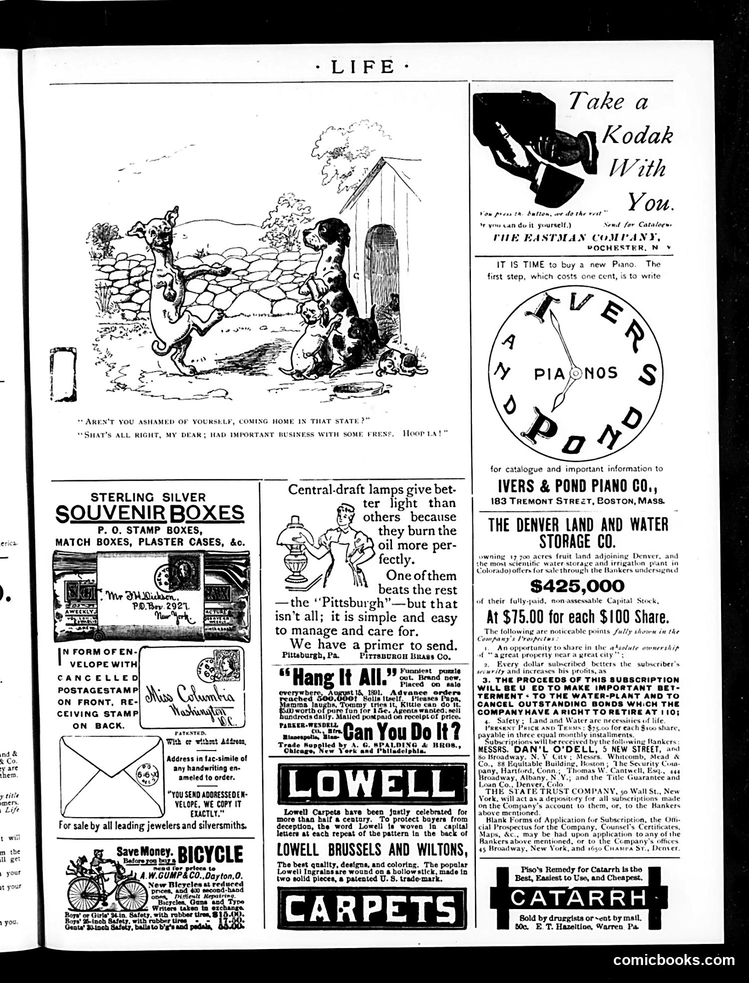 Life — September 24, 1891 — page 17 of 18