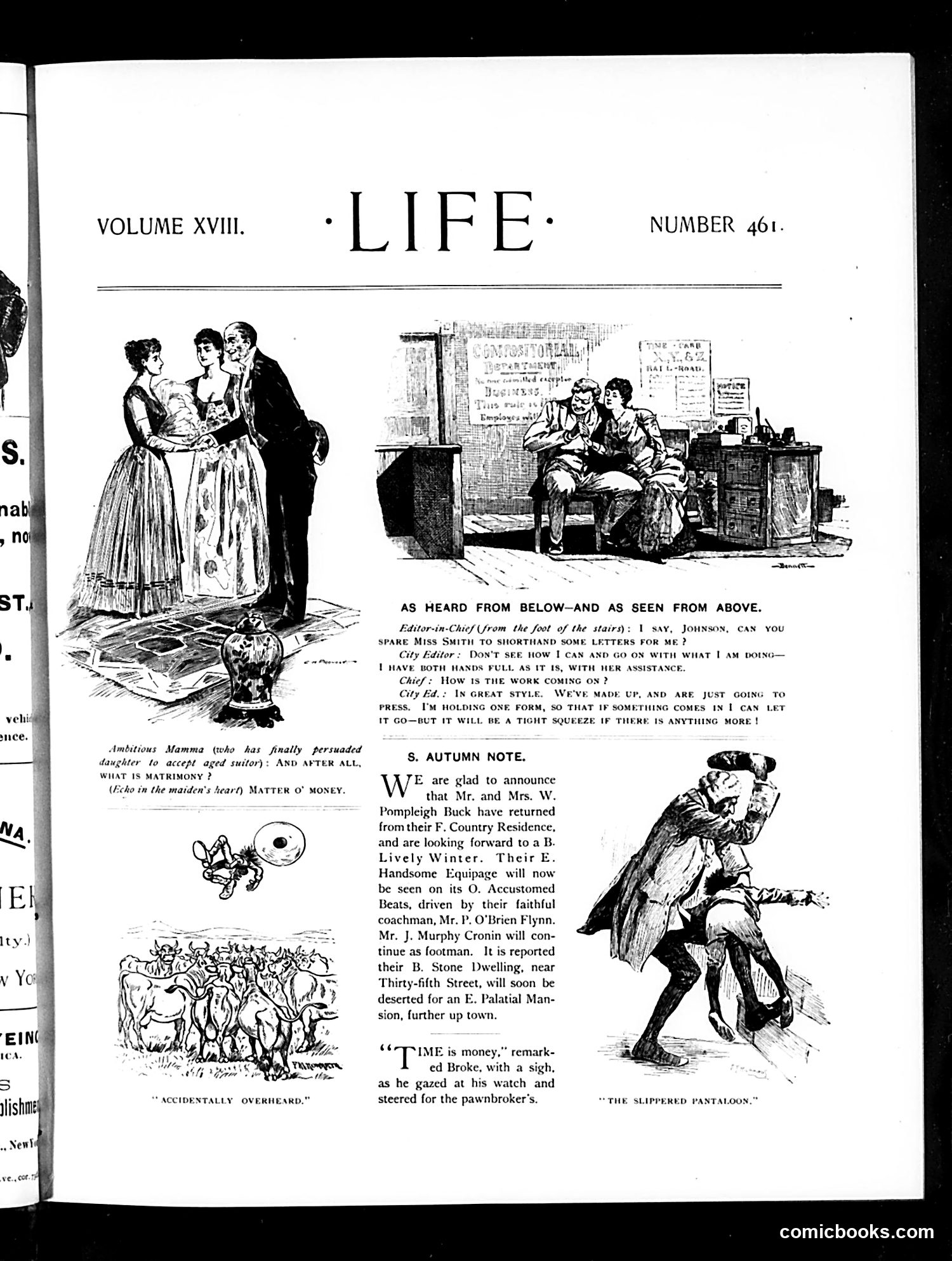 Life — October 29, 1891 — page 3 of 16