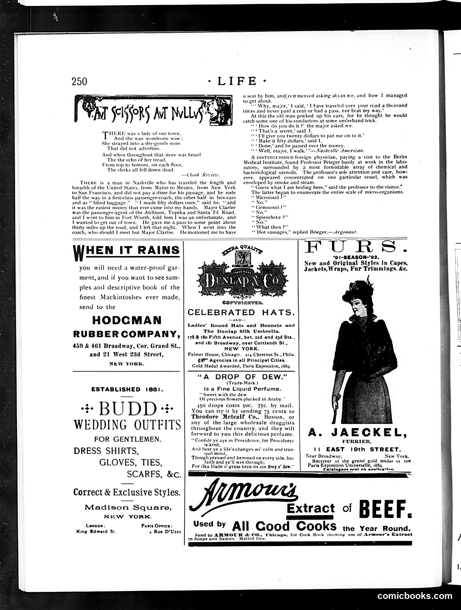 Life — October 29, 1891 — page 14 of 16