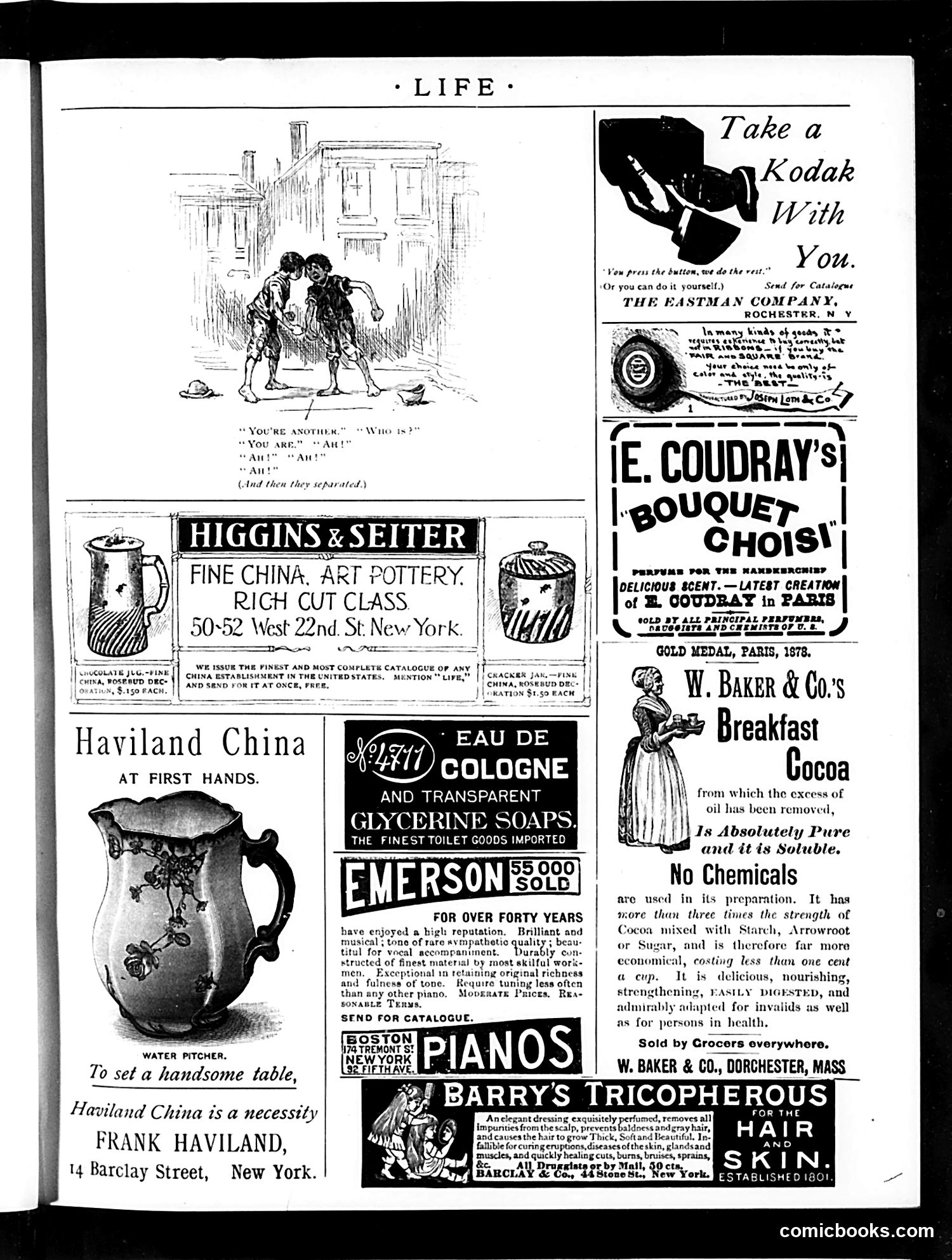 Life — October 29, 1891 — page 15 of 16