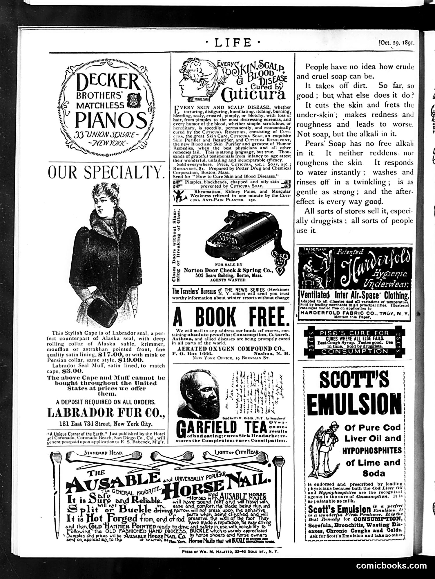 Life — October 29, 1891 — page 16 of 16