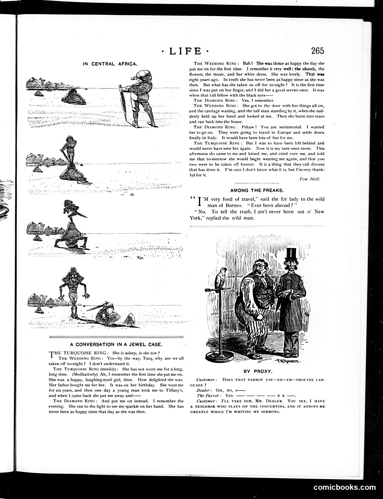 Life — November 5, 1891 — page 13 of 18