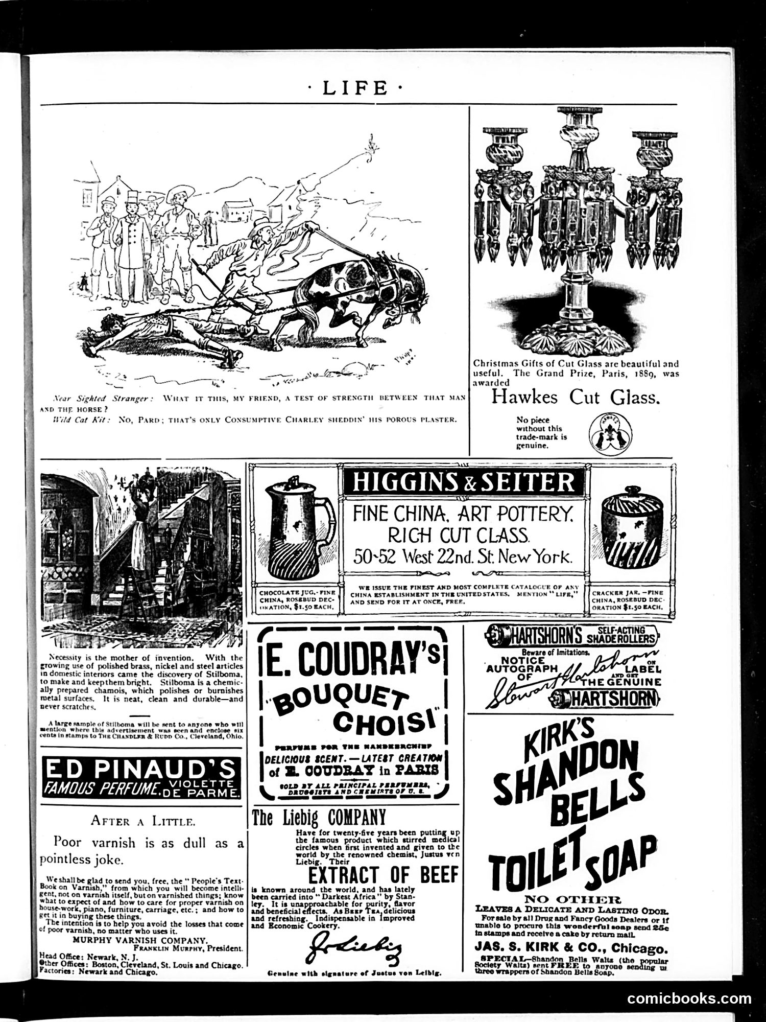 Life — November 5, 1891 — page 15 of 18