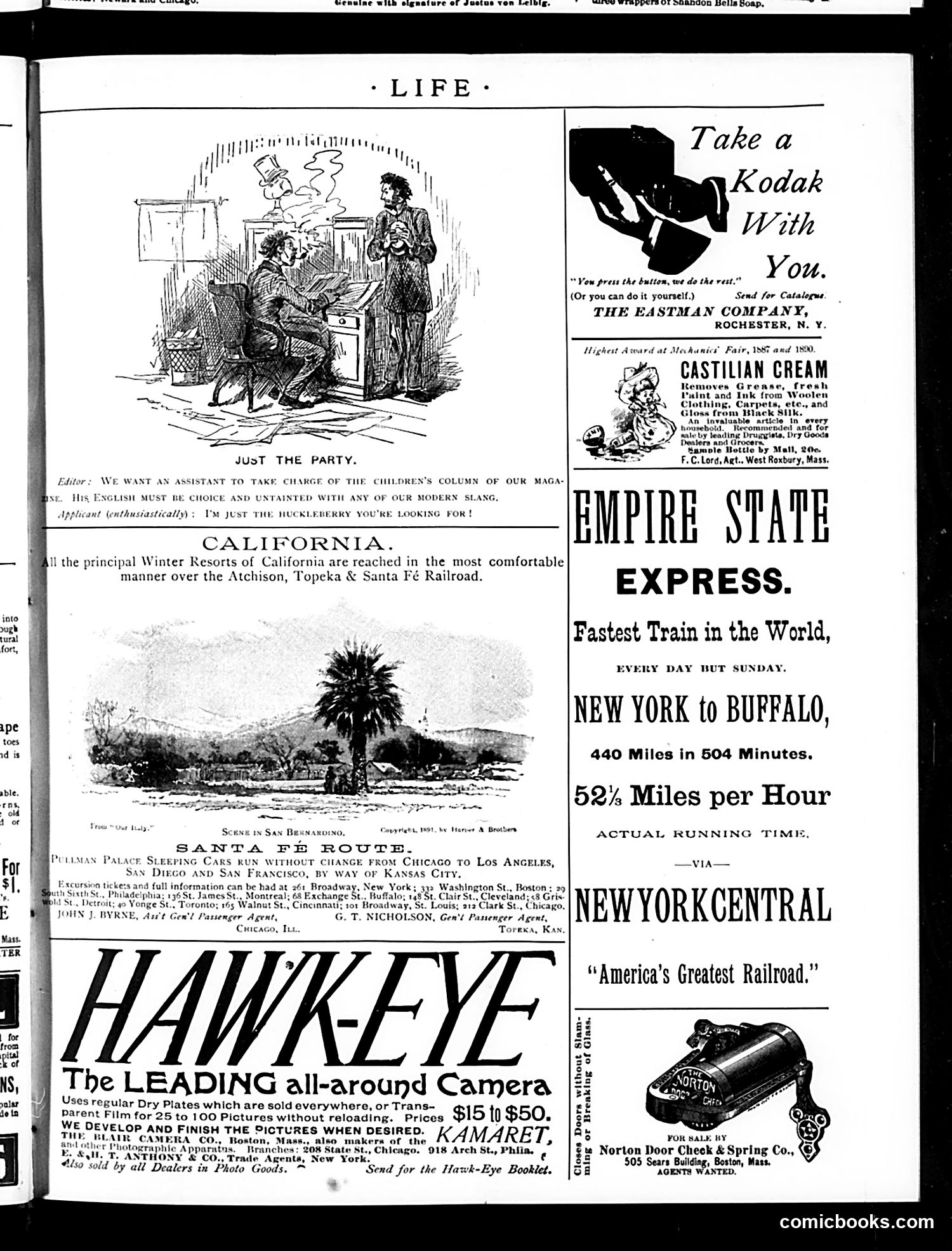Life — November 5, 1891 — page 17 of 18