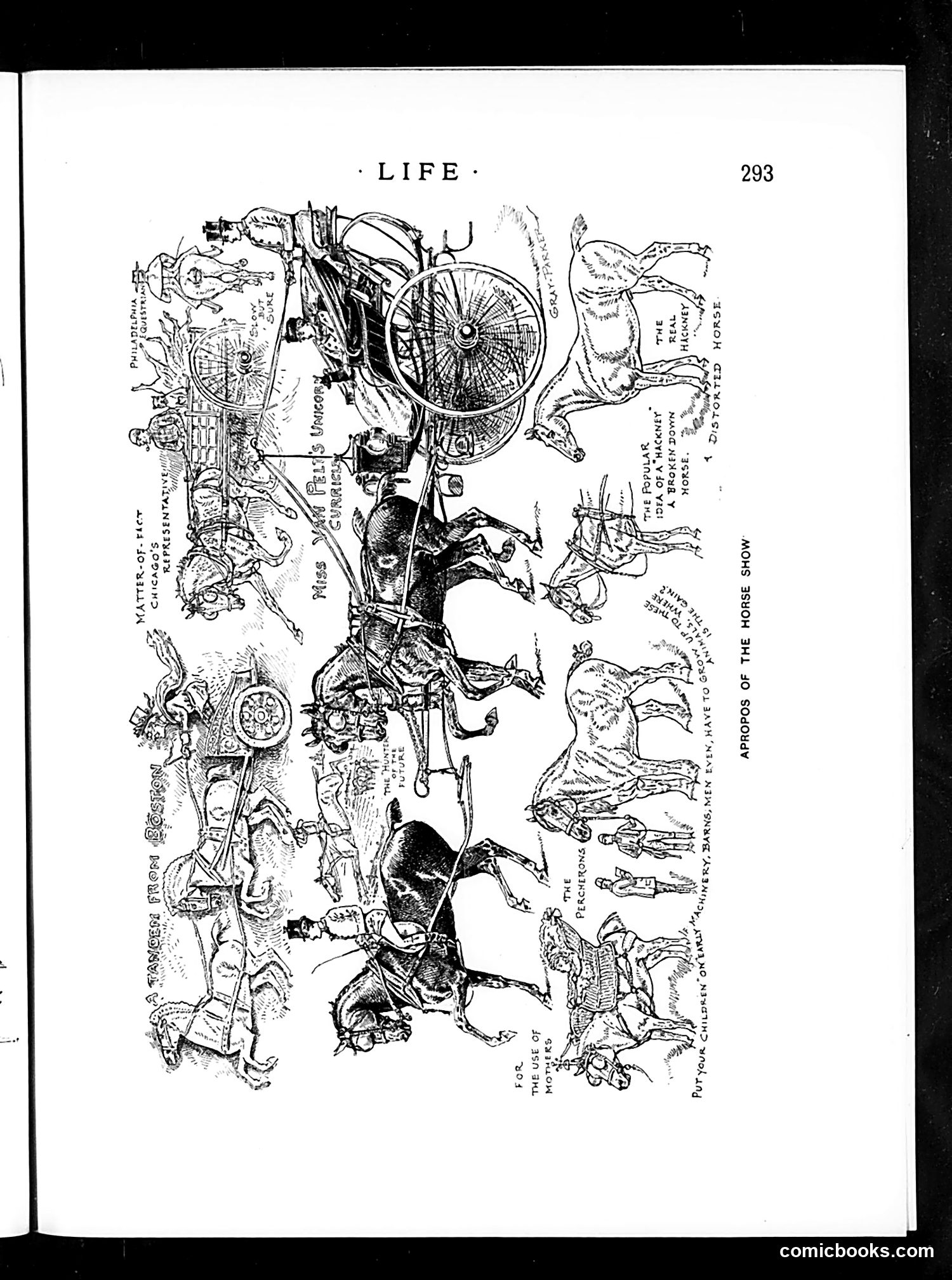 Life — November 19, 1891 — page 9 of 24