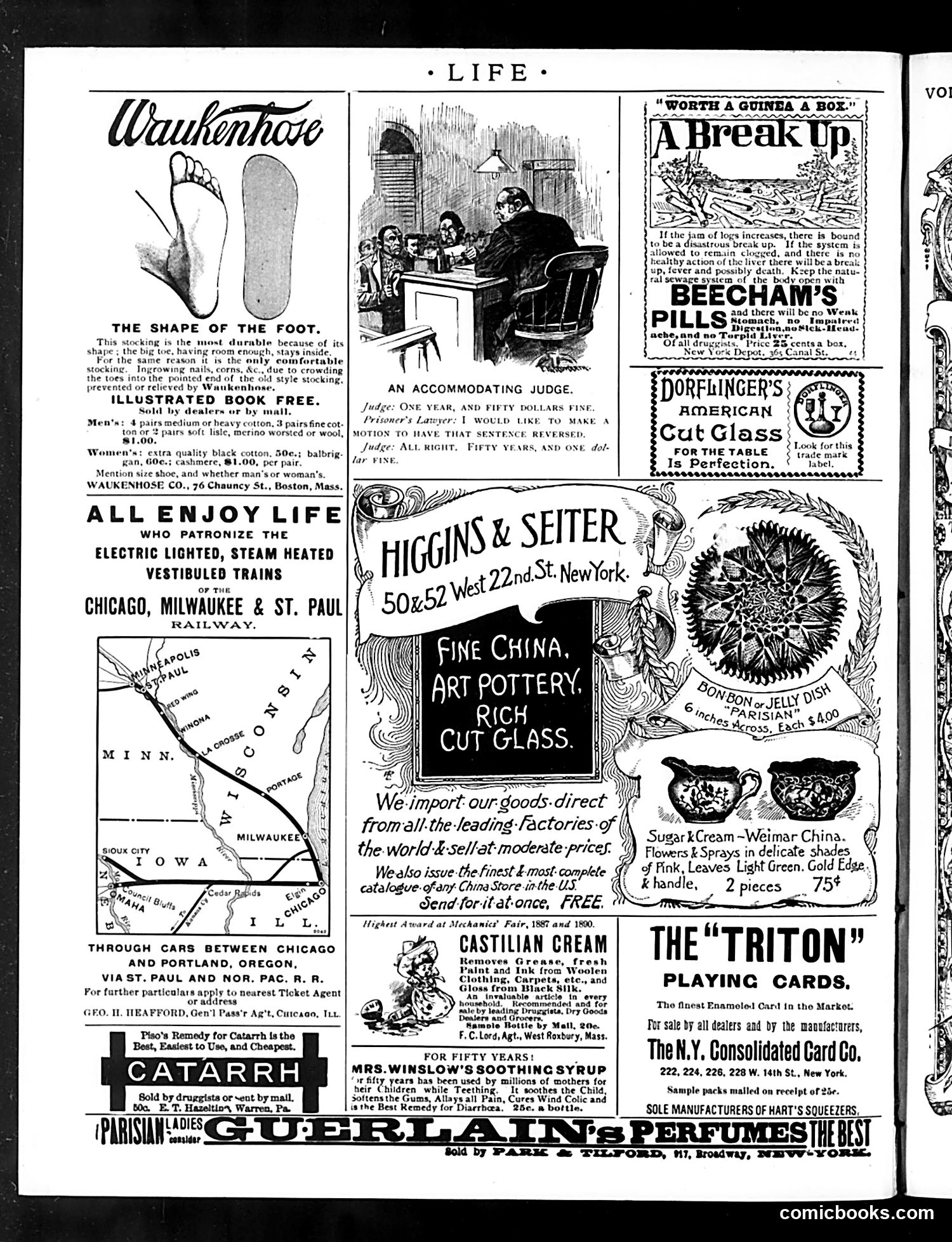 Life — November 19, 1891 — page 24 of 24