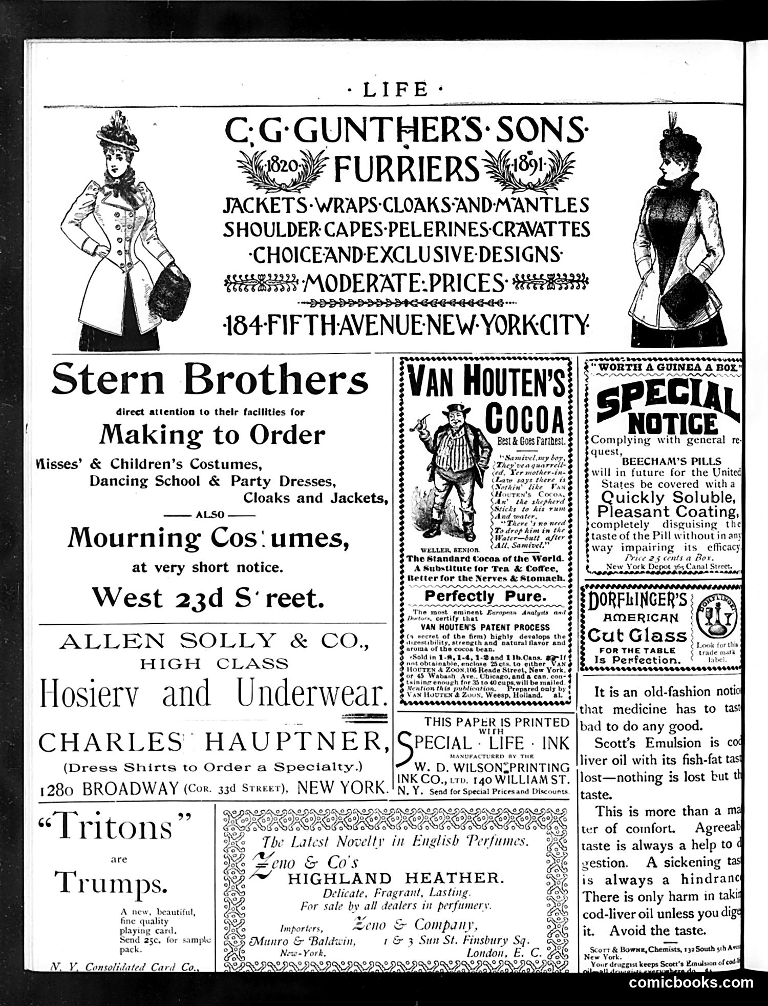 Life — December 3, 1891 — page 2 of 16