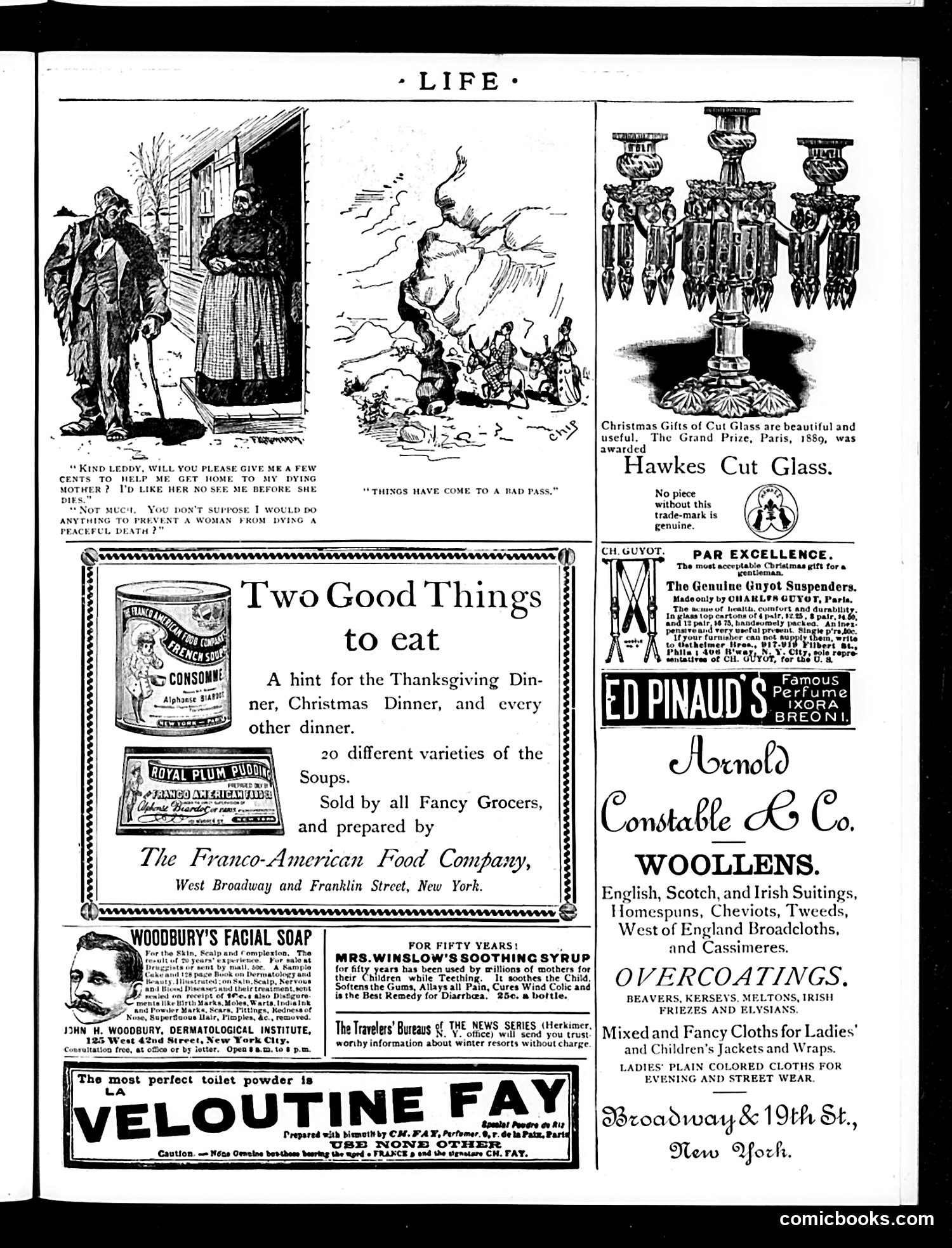Life — December 3, 1891 — page 15 of 16