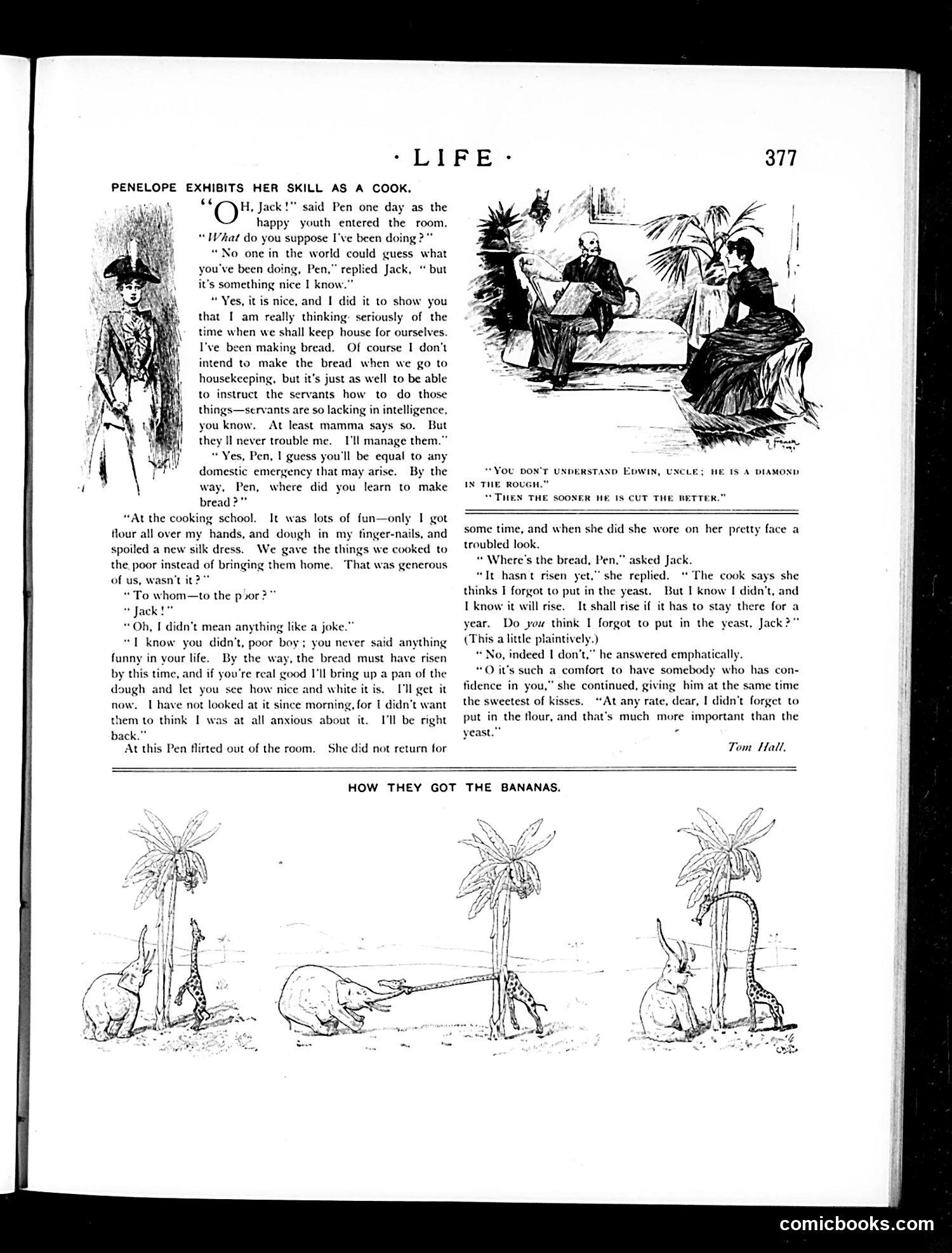 Life — December 24, 1891 — page 9 of 16