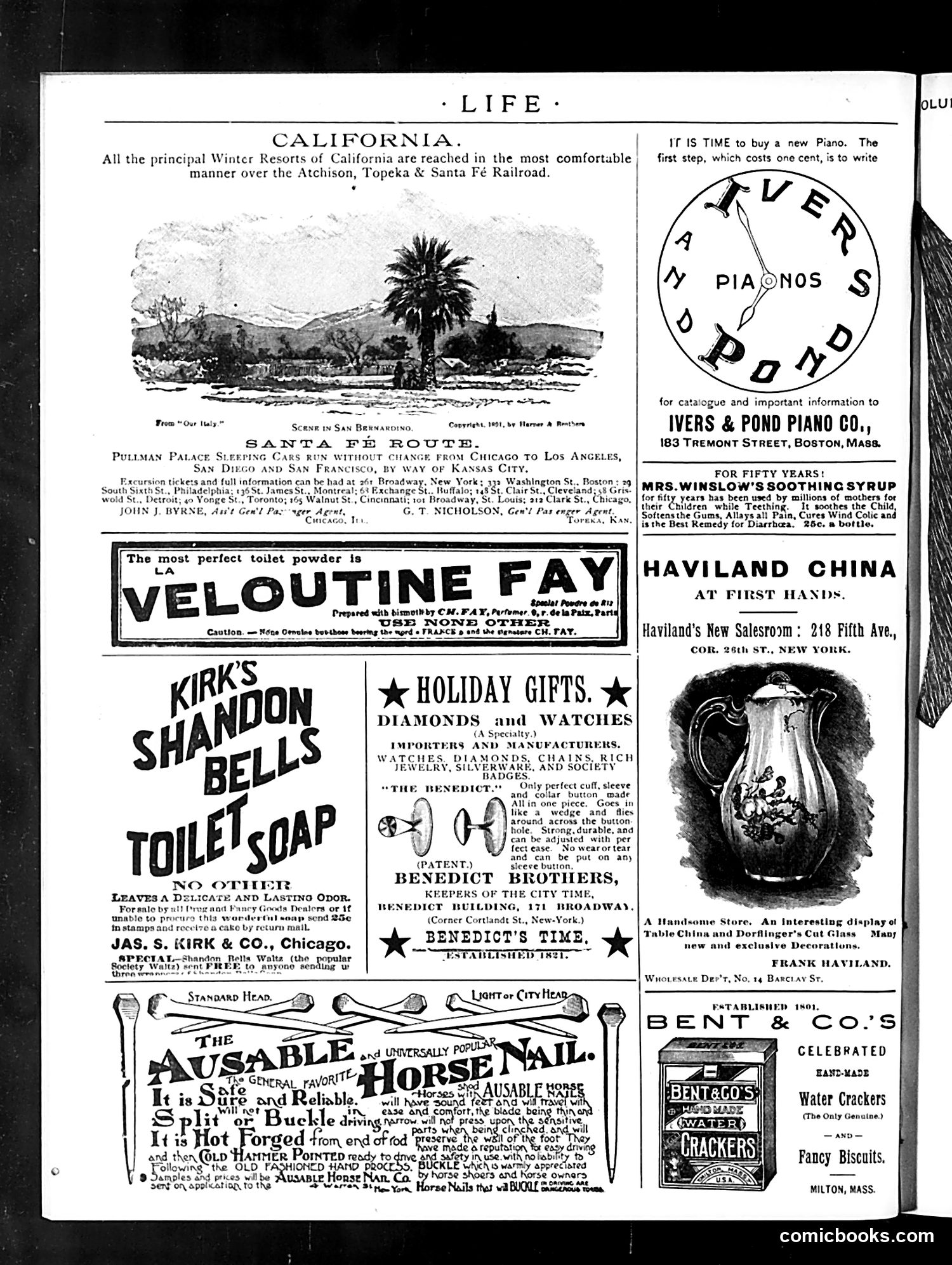 Life — December 24, 1891 — page 16 of 16