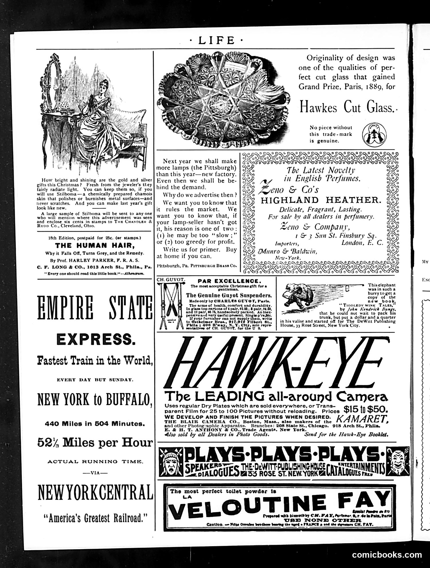 Life — December 31, 1891 — page 20 of 53