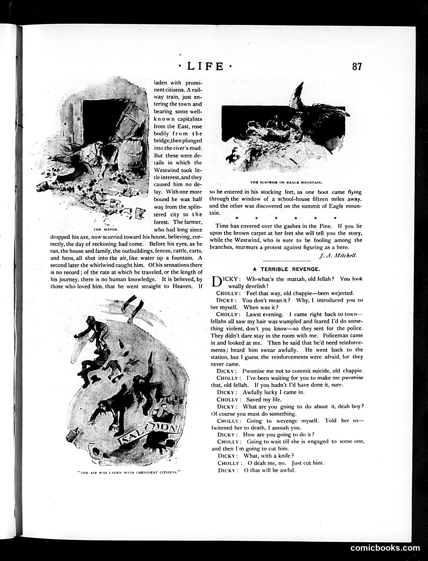 Life — February 11, 1892 — page 11 of 22