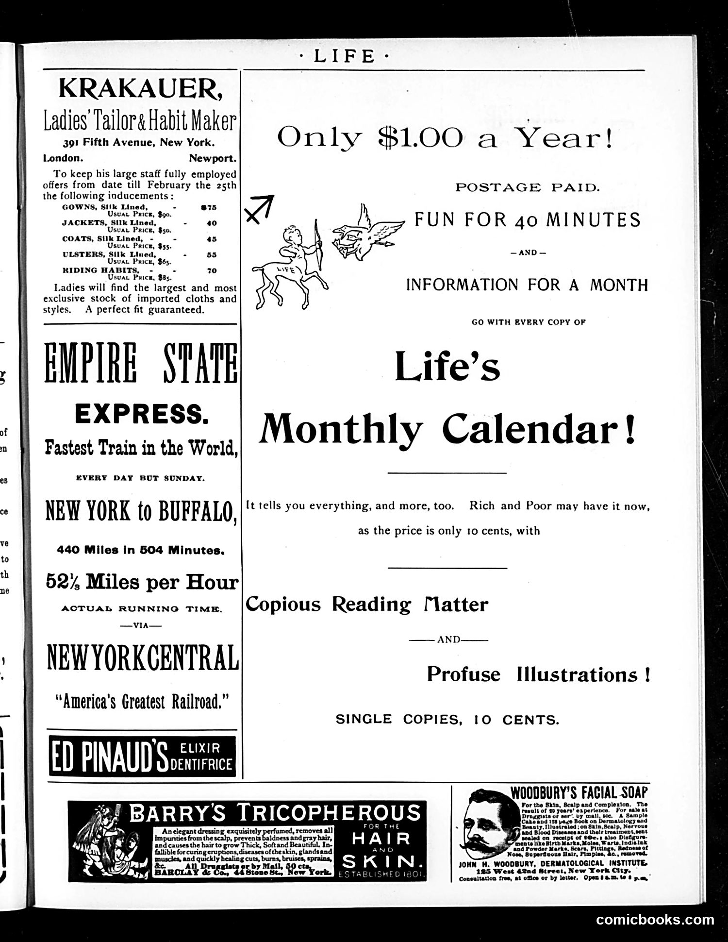 Life — February 18, 1892 — page 17 of 18