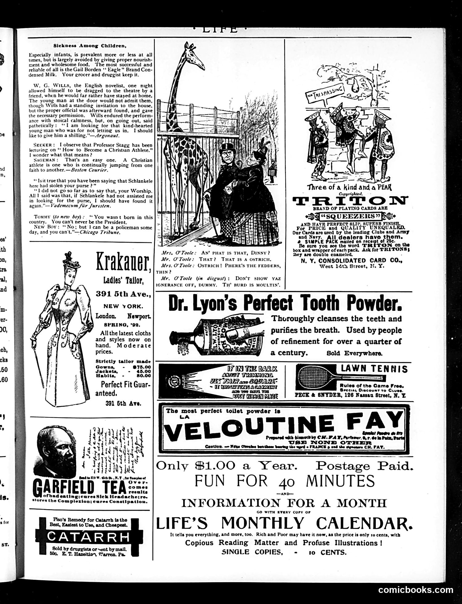 Life — March 31, 1892 — page 17 of 18