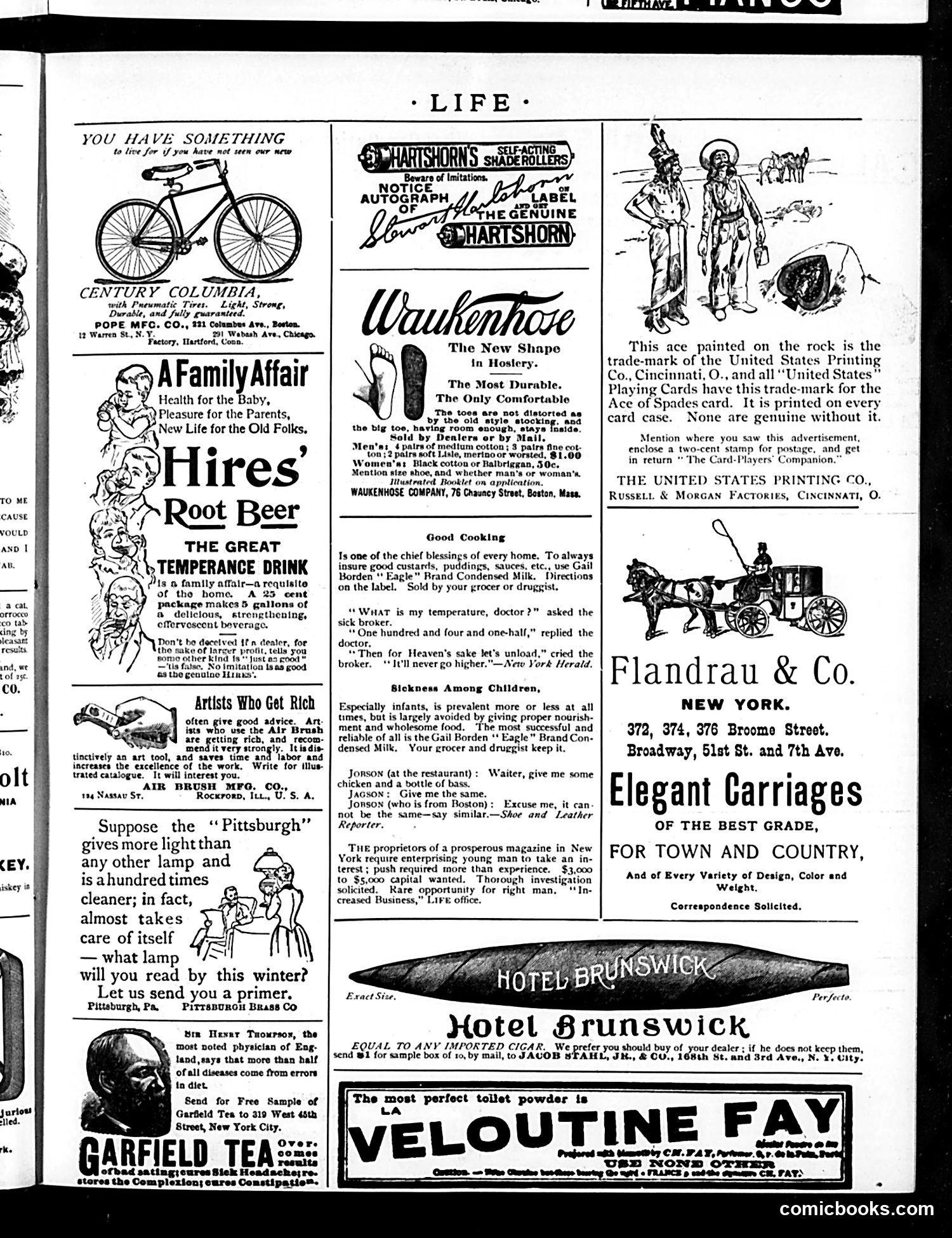 Life — May 5, 1892 — page 17 of 18