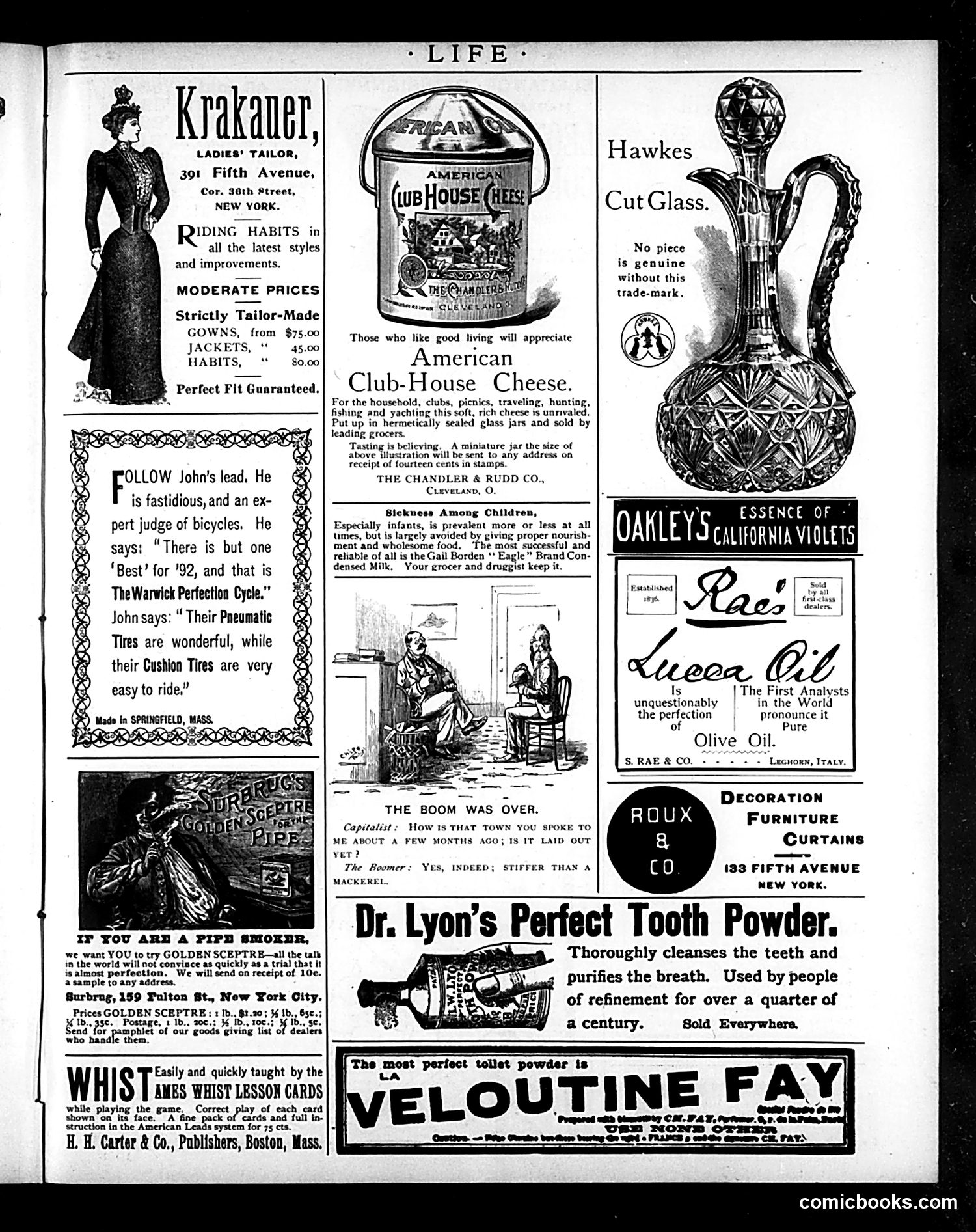 Life — May 12, 1892 — page 15 of 18