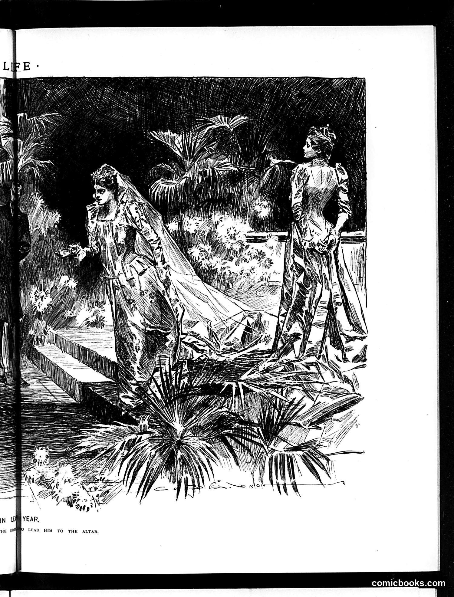 Life — May 19, 1892 — page 11 of 18