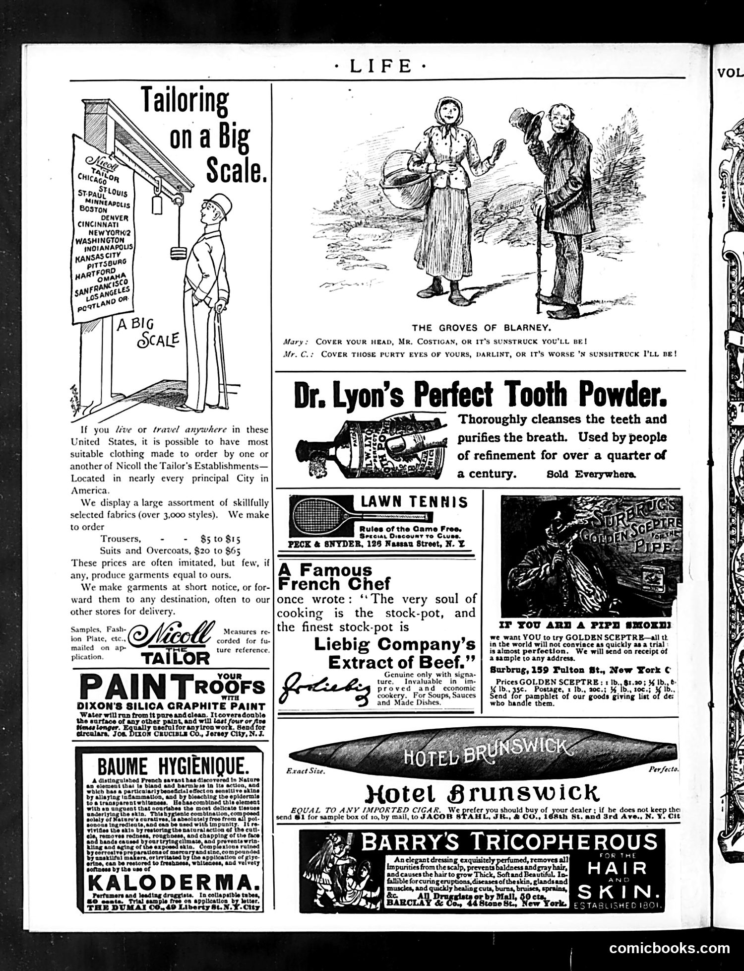 Life — June 9, 1892 — page 16 of 16