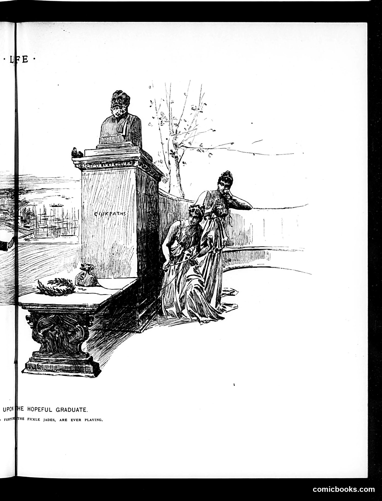 Life — June 23, 1892 — page 9 of 16