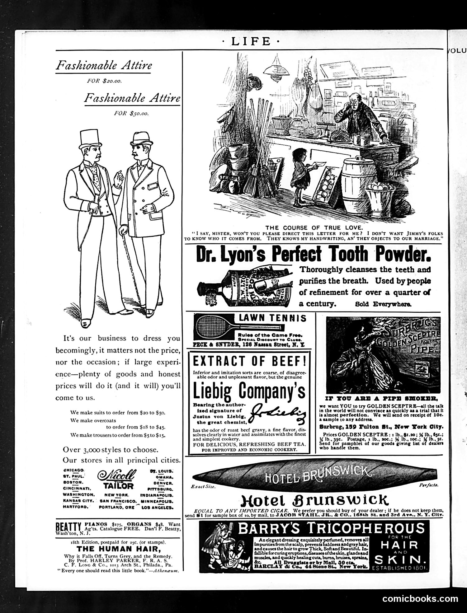 Life — June 23, 1892 — page 16 of 16