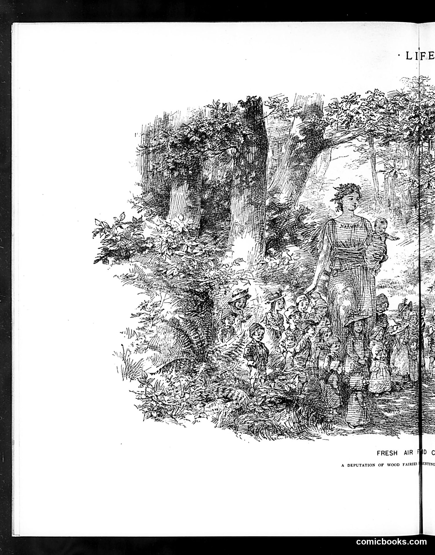 Life — July 21, 1892 — page 8 of 16