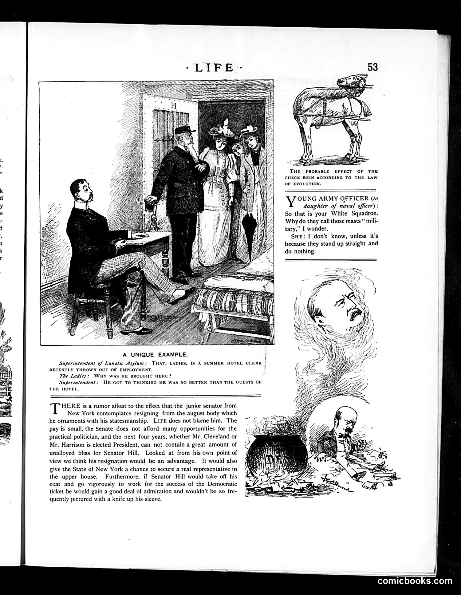 Life — July 28, 1892 — page 11 of 16