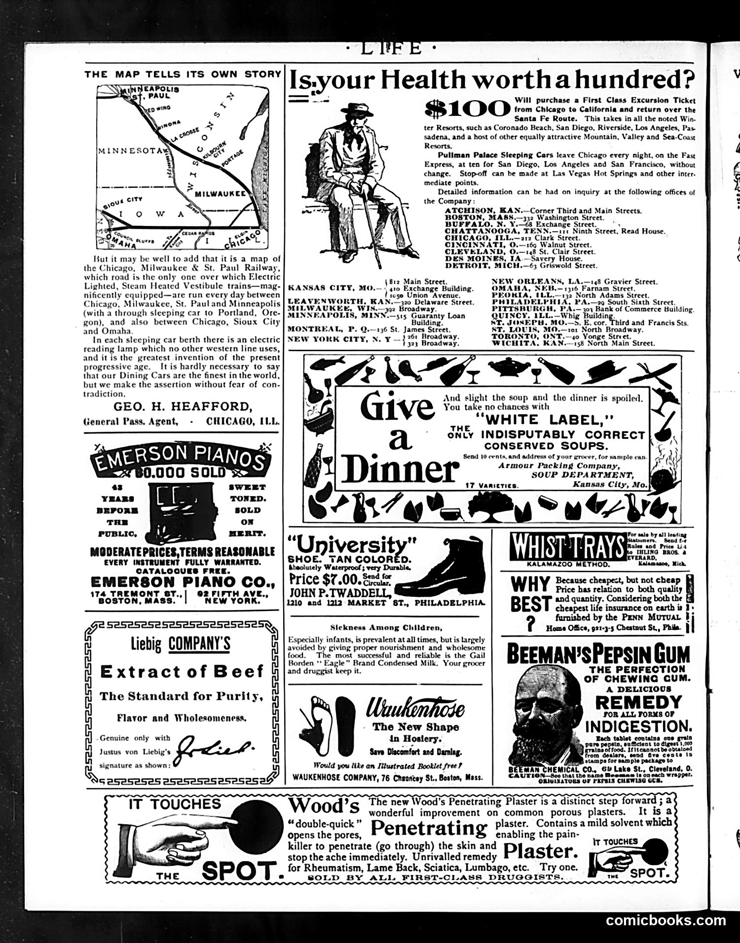 Life — November 24, 1892 — page 22 of 22