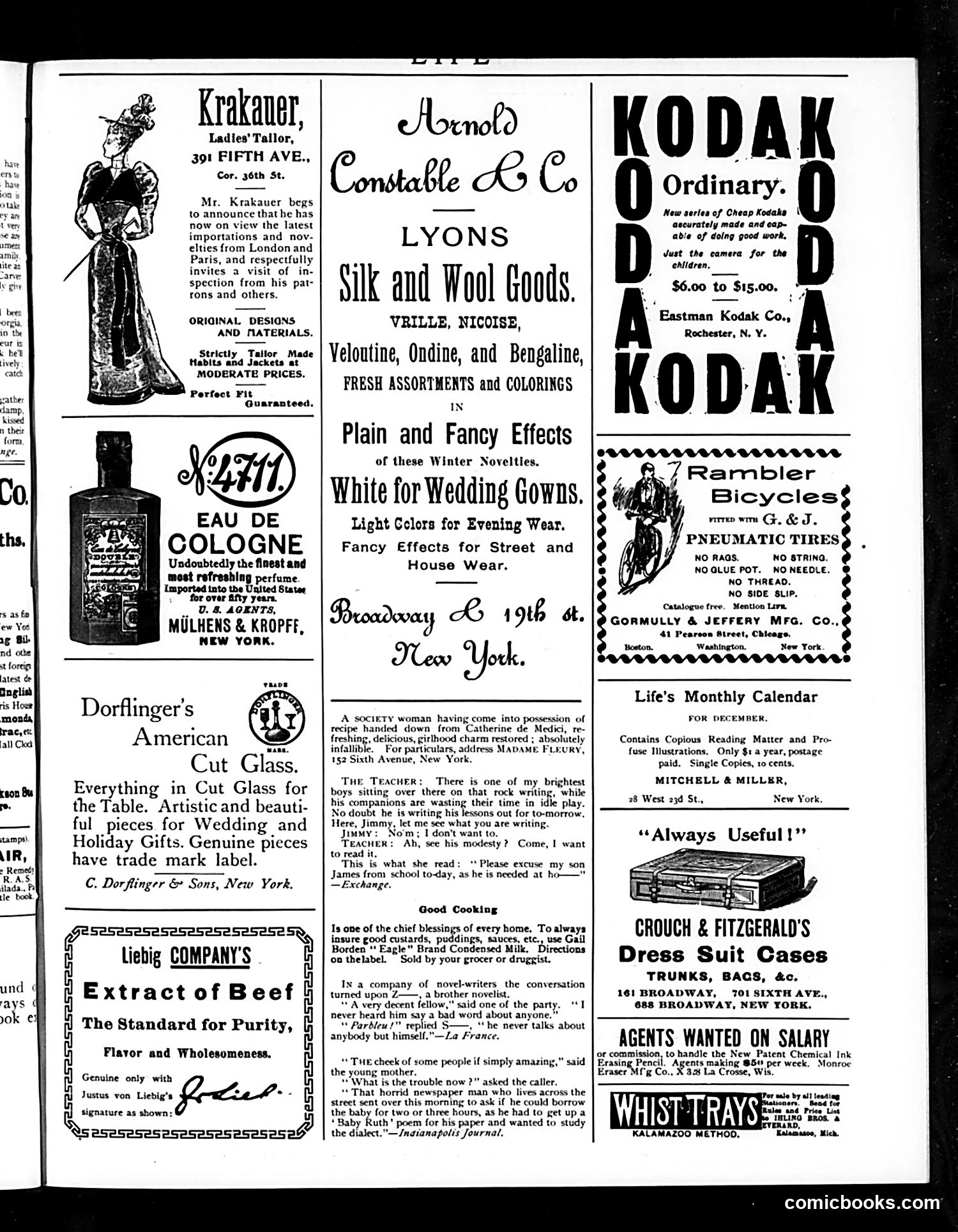 Life — December 8, 1892 — page 15 of 16