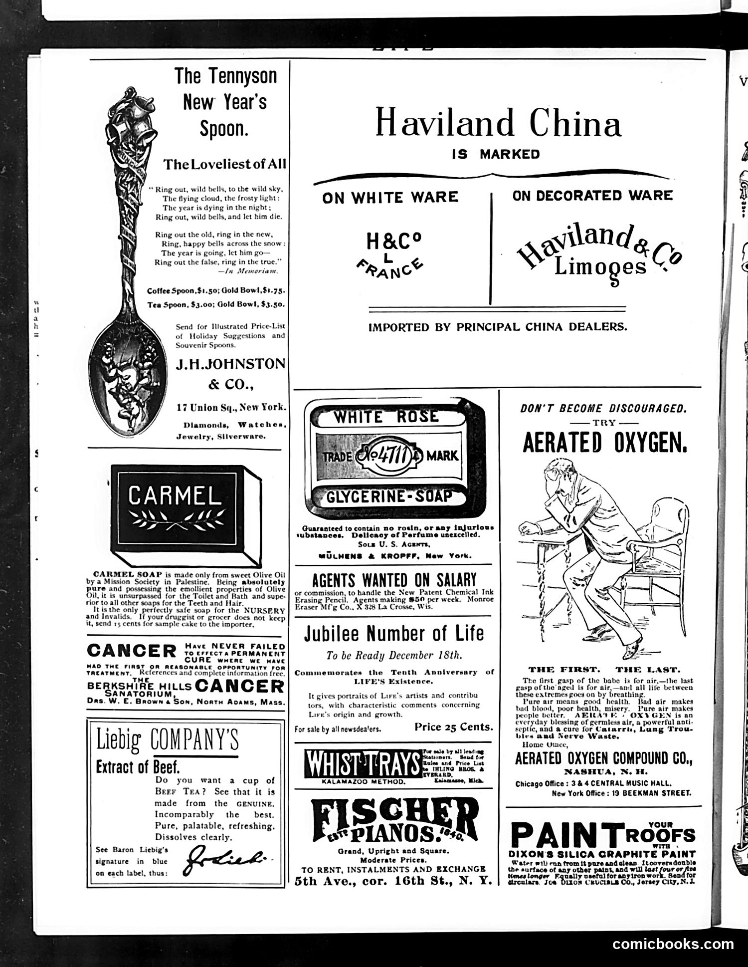 Life — December 15, 1892 — page 16 of 16