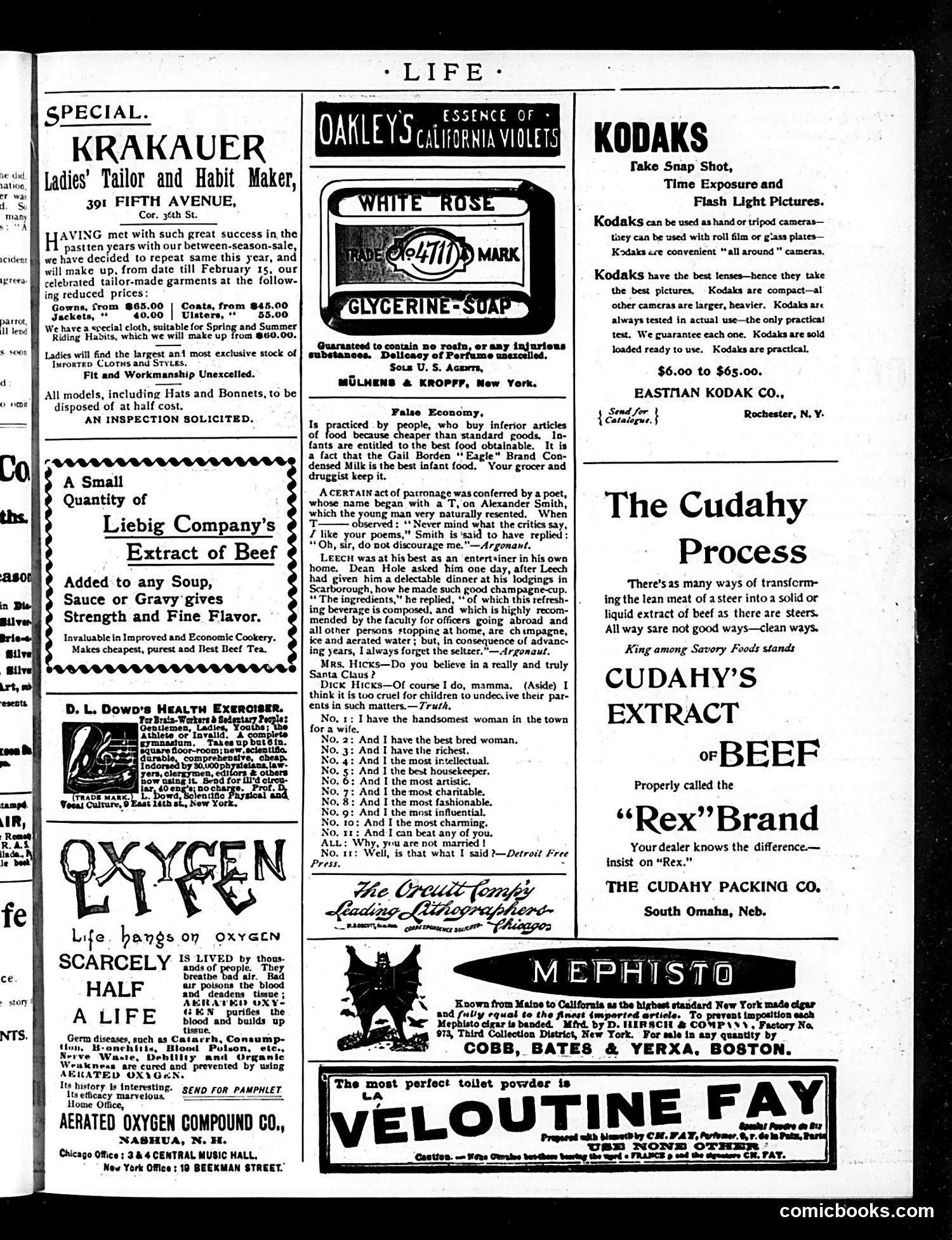 Life — January 12, 1893 — page 15 of 16