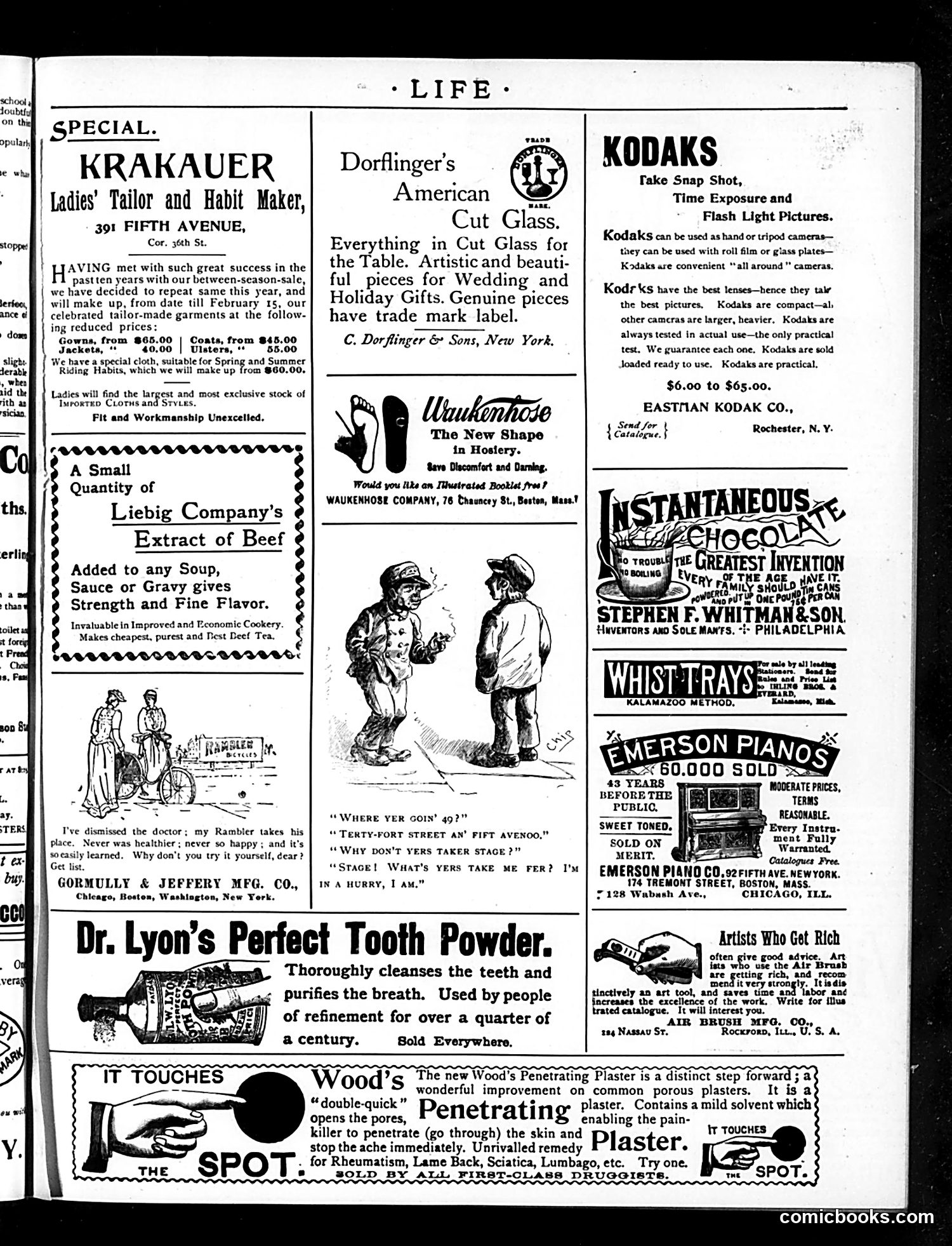 Life — January 19, 1893 — page 15 of 16