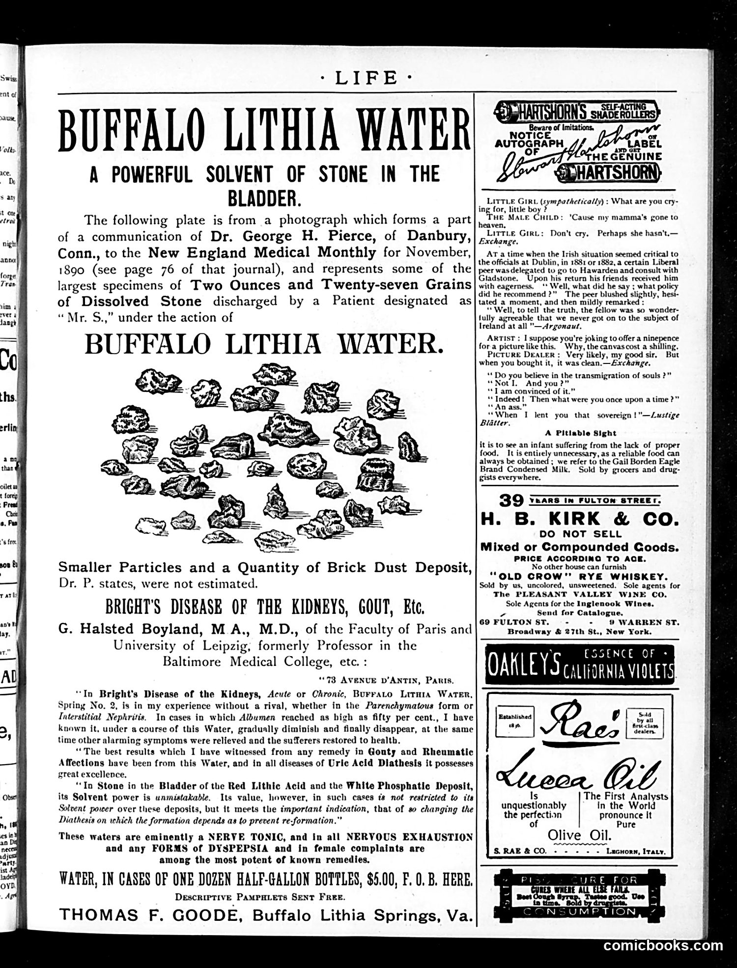 Life — February 2, 1893 — page 15 of 16