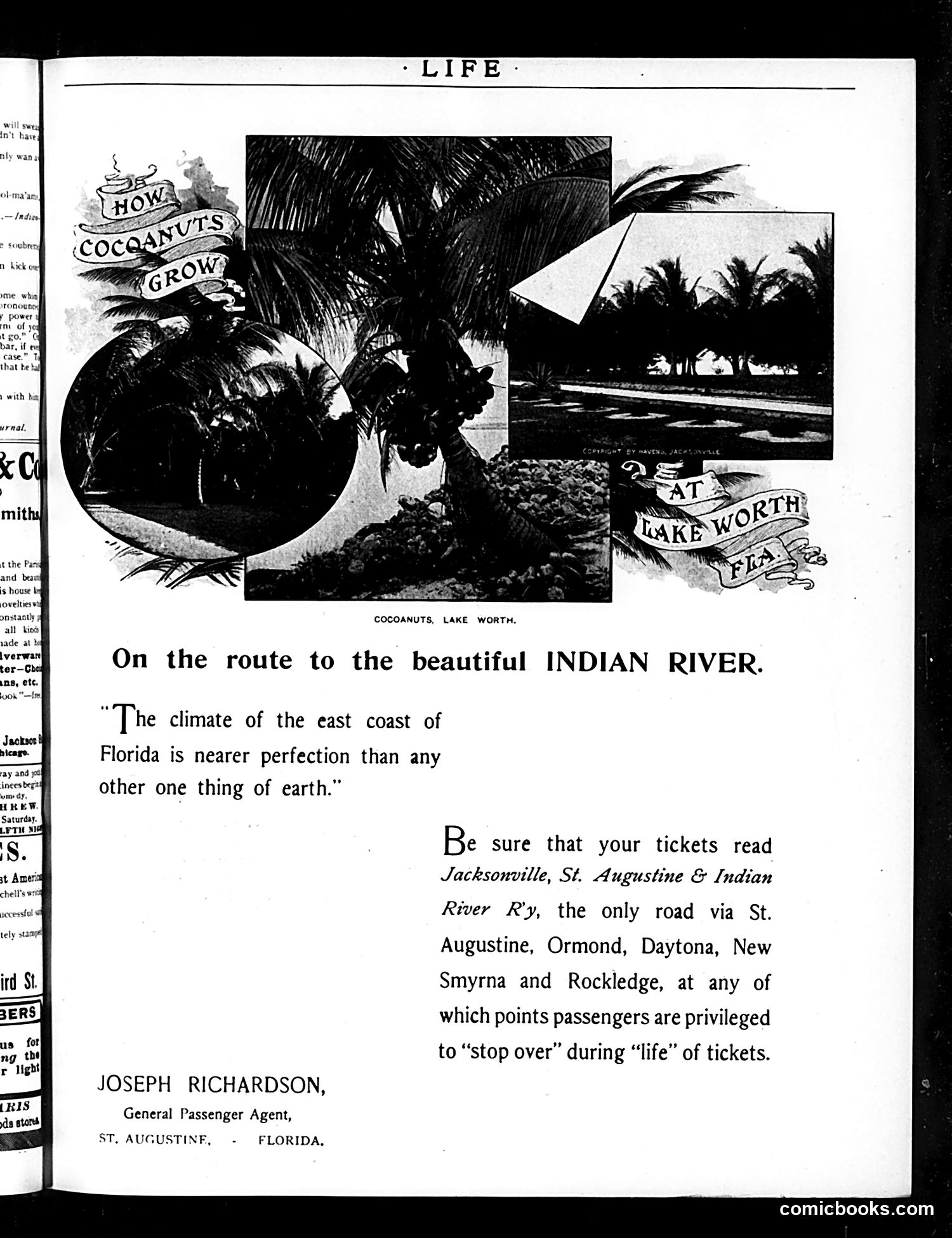 Life — February 16, 1893 — page 15 of 16