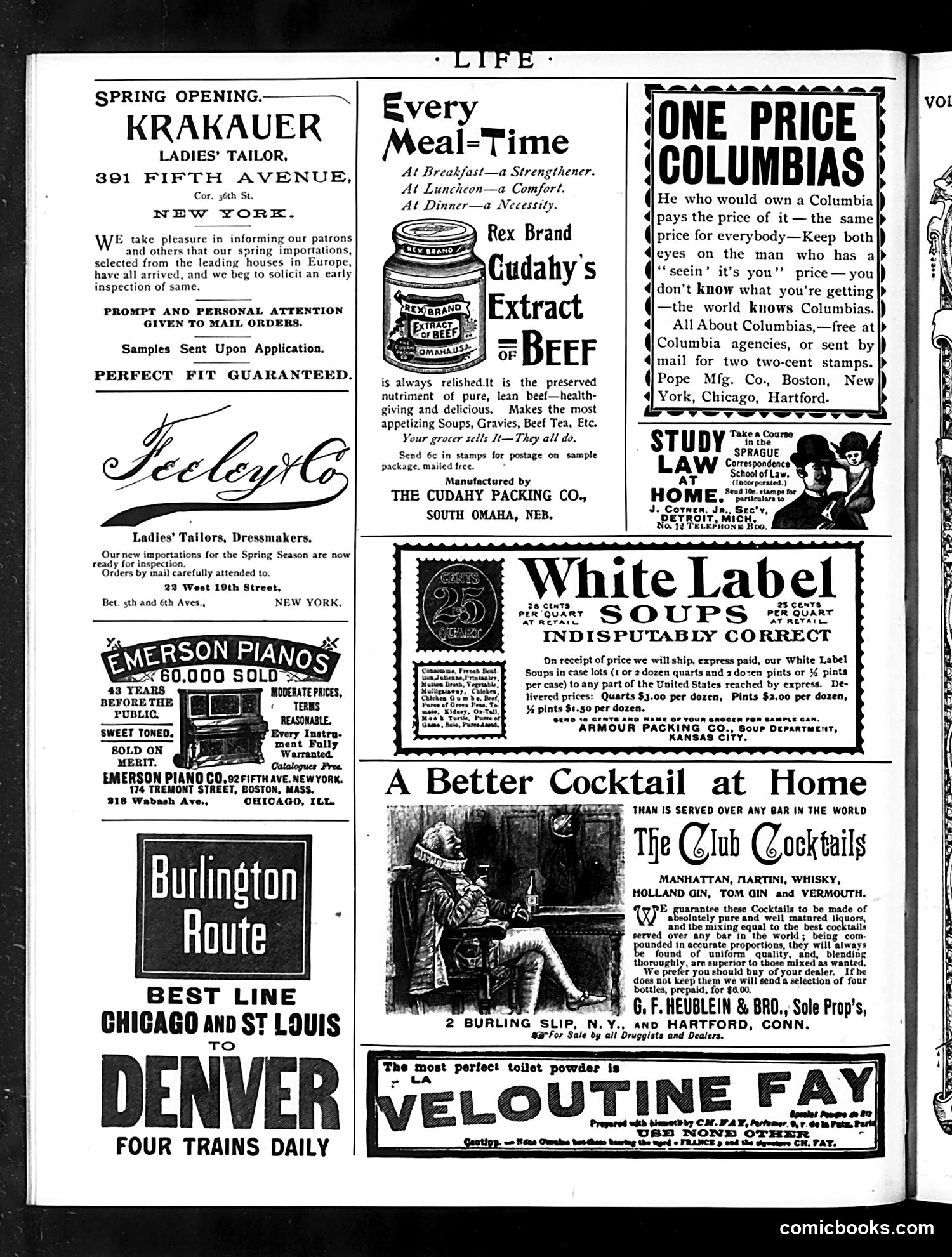Life — April 6, 1893 — page 16 of 16