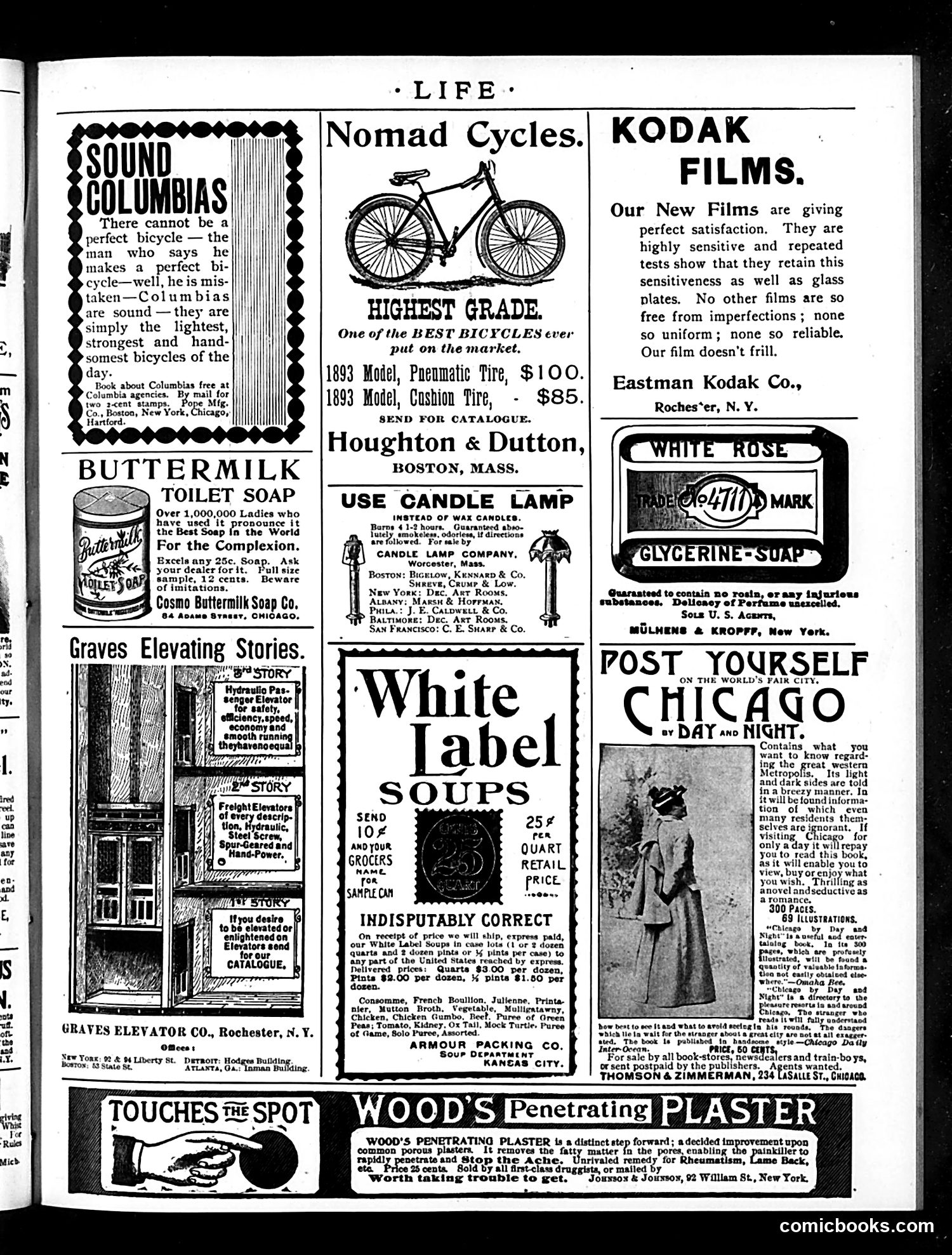 Life — April 13, 1893 — page 17 of 18