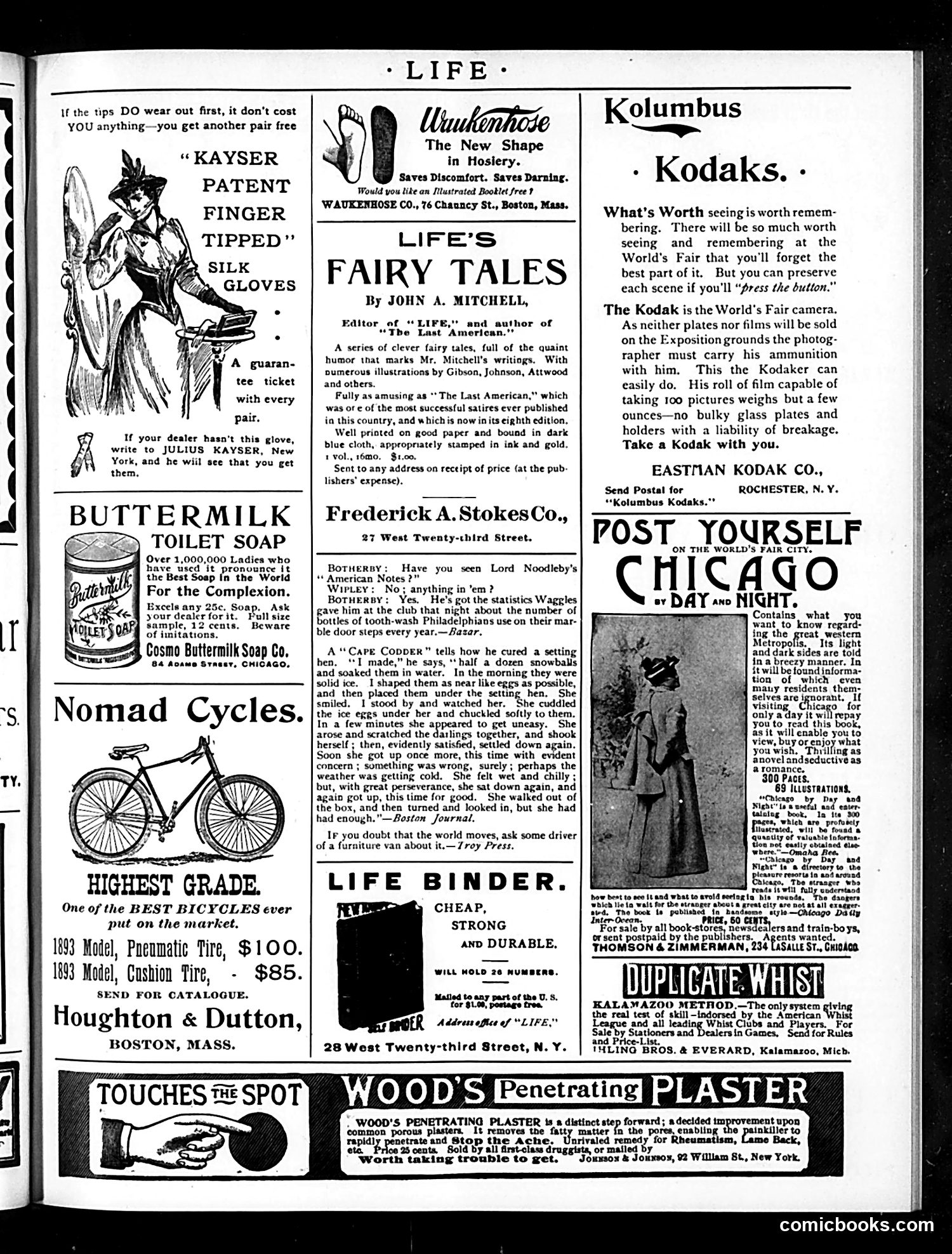 Life — April 27, 1893 — page 19 of 20