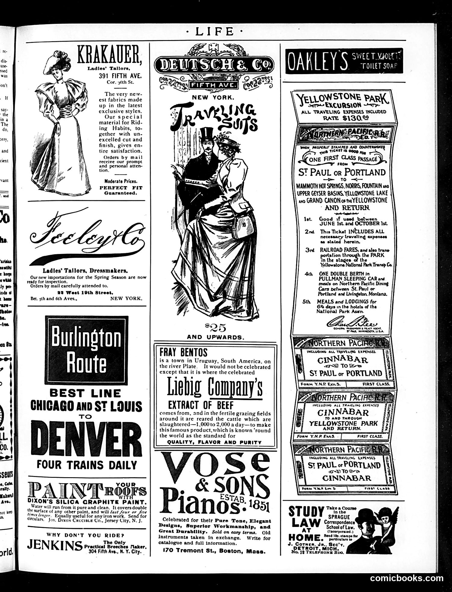 Life — May 4, 1893 — page 15 of 16