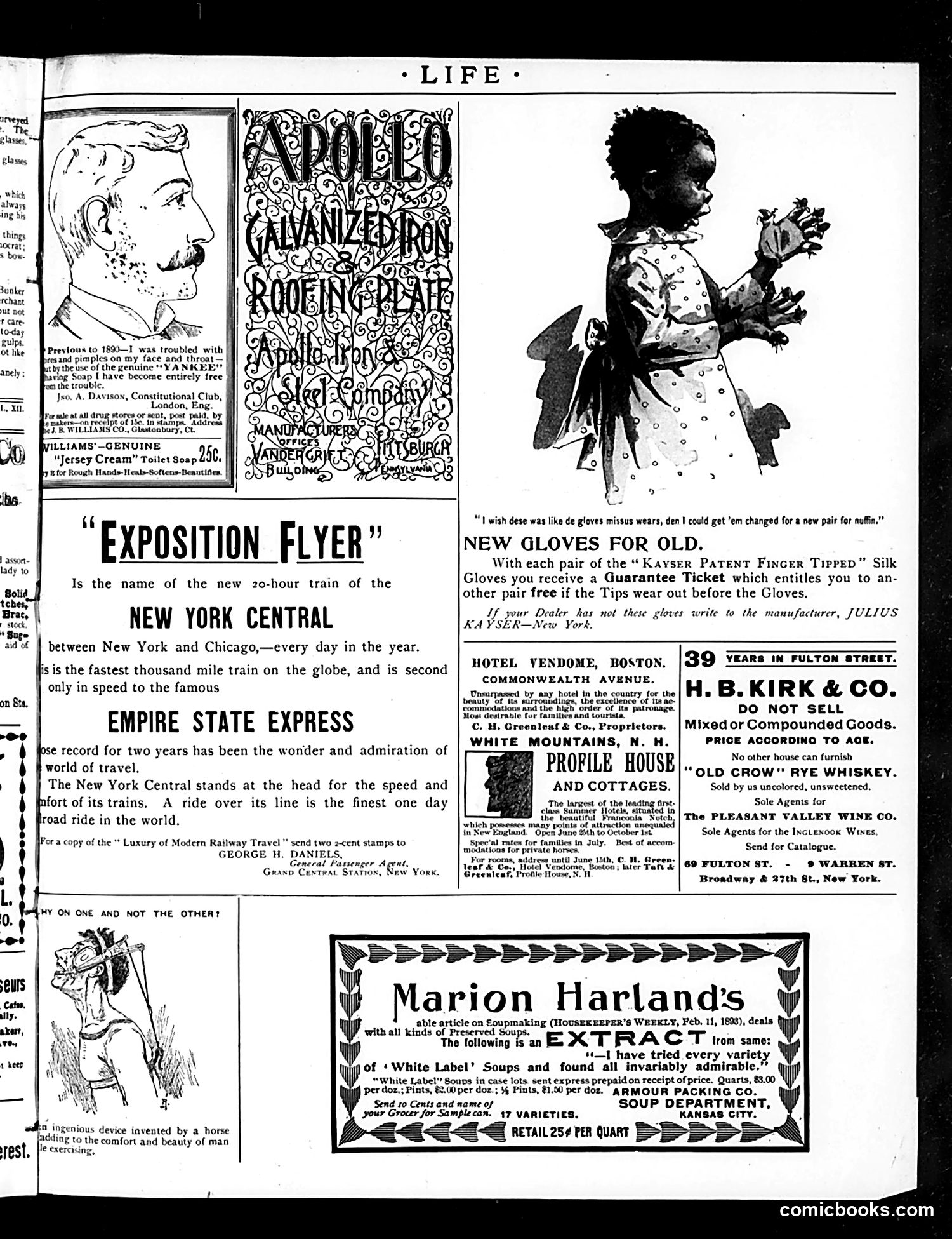 Life — June 29, 1893 — page 15 of 17