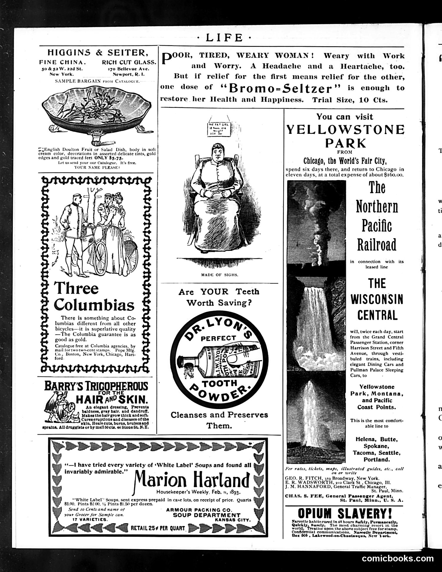 Life — July 6, 1893 — page 16 of 18