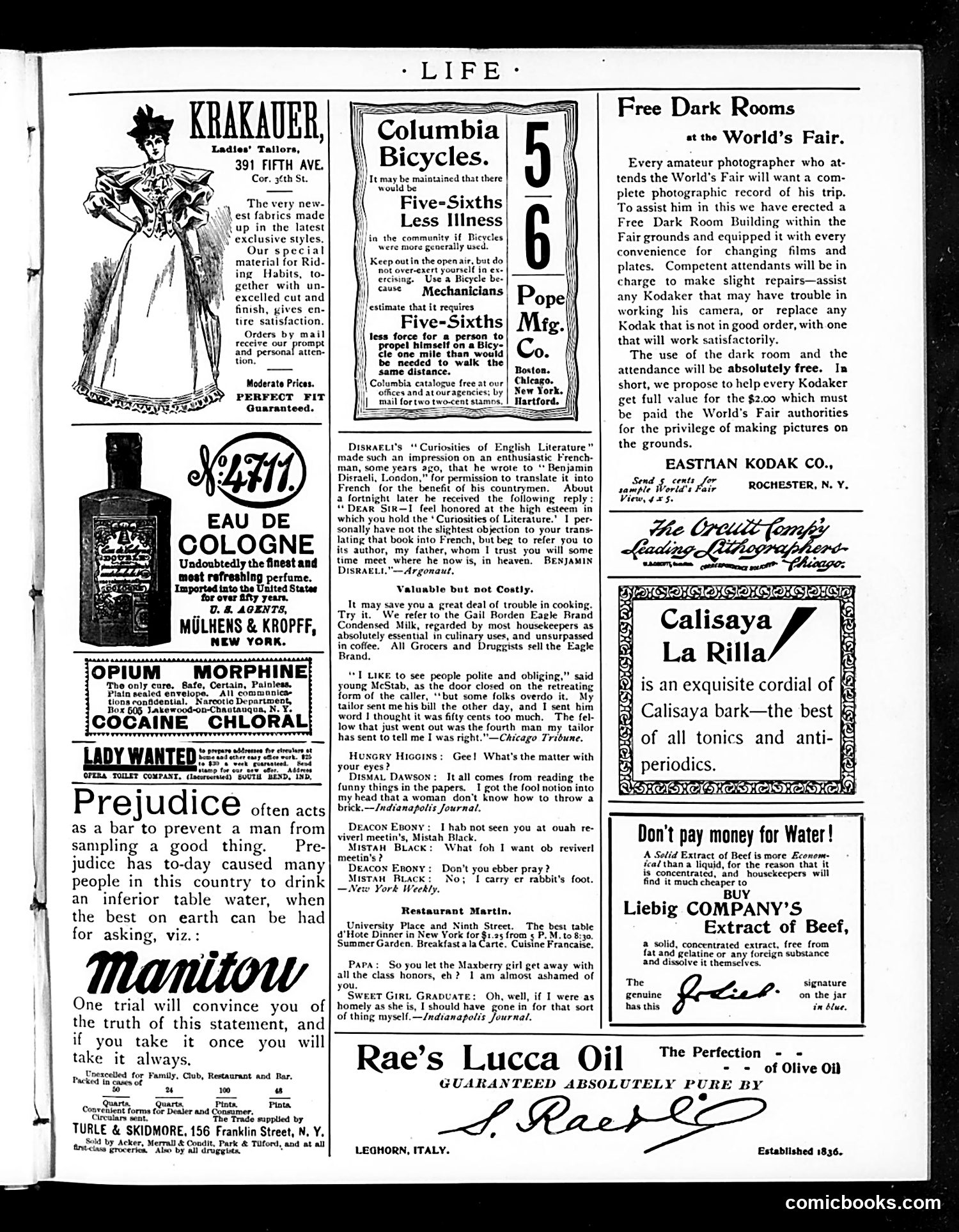 Life — July 13, 1893 — page 15 of 16