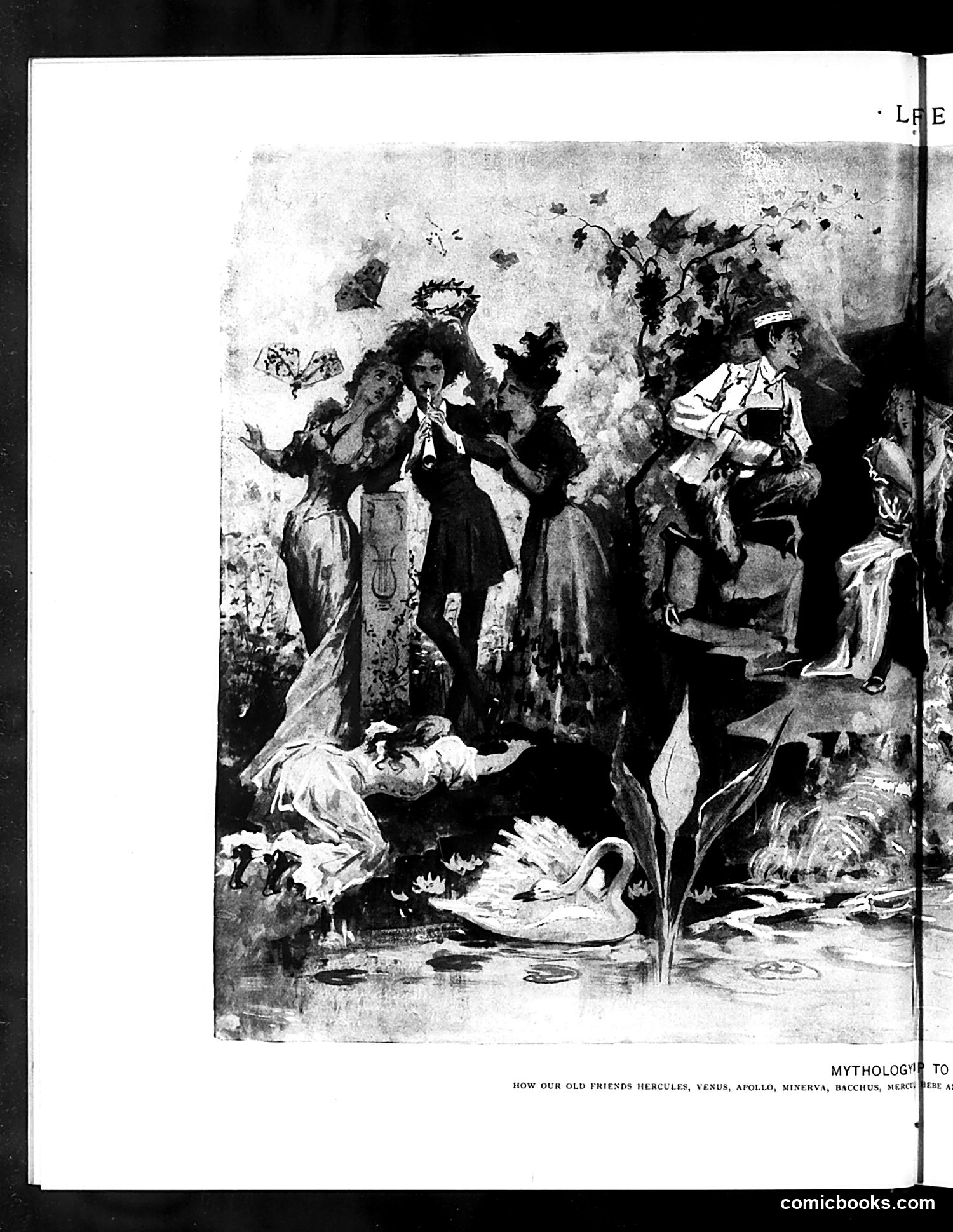 Life — July 20, 1893 — page 8 of 18