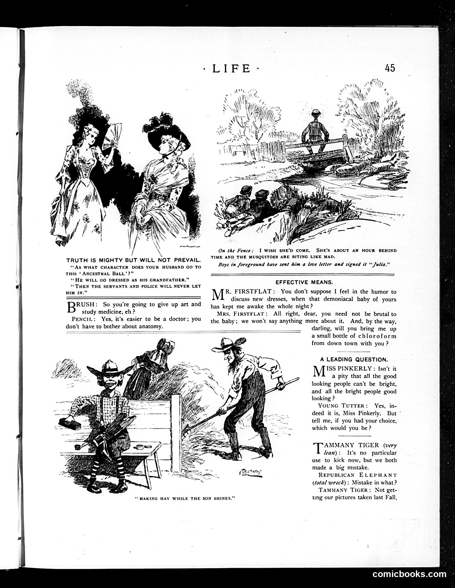 Life — July 20, 1893 — page 13 of 18
