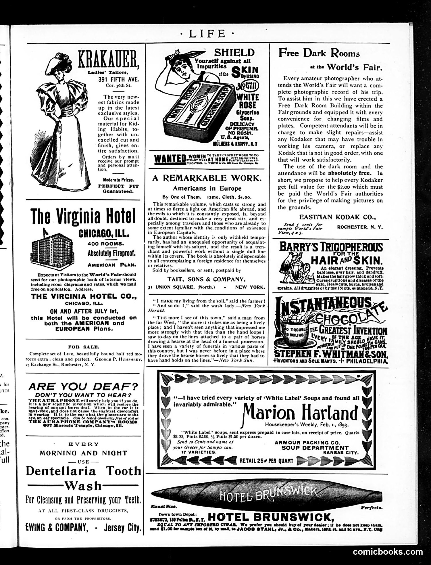 Life — July 20, 1893 — page 17 of 18