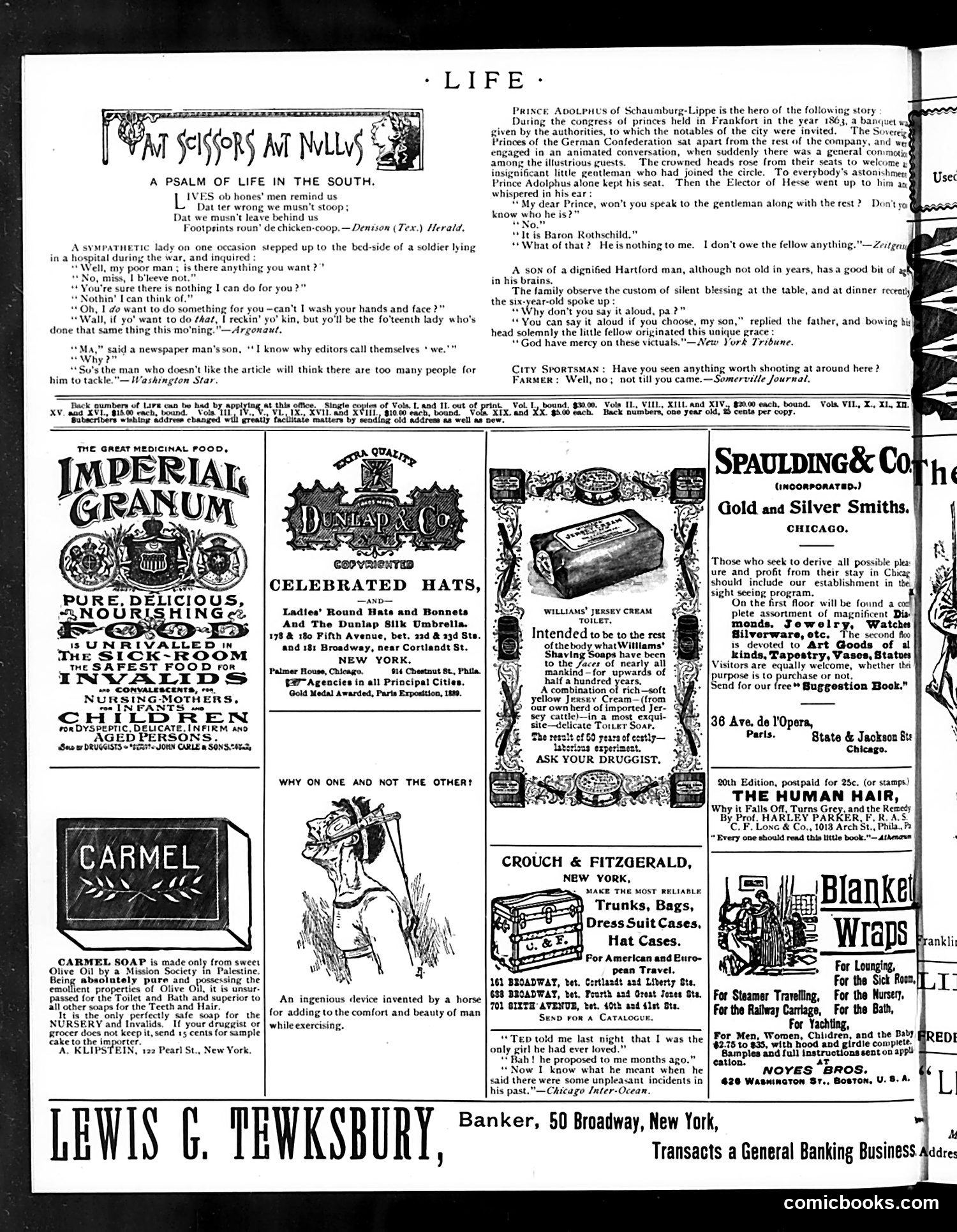Life — August 3, 1893 — page 16 of 18