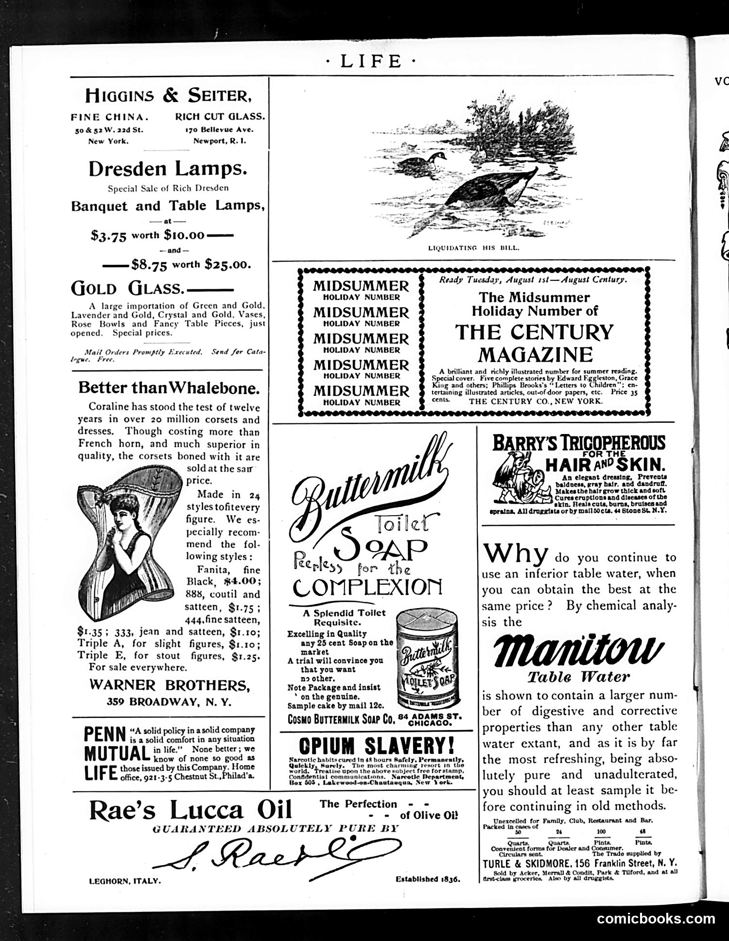Life — August 3, 1893 — page 18 of 18