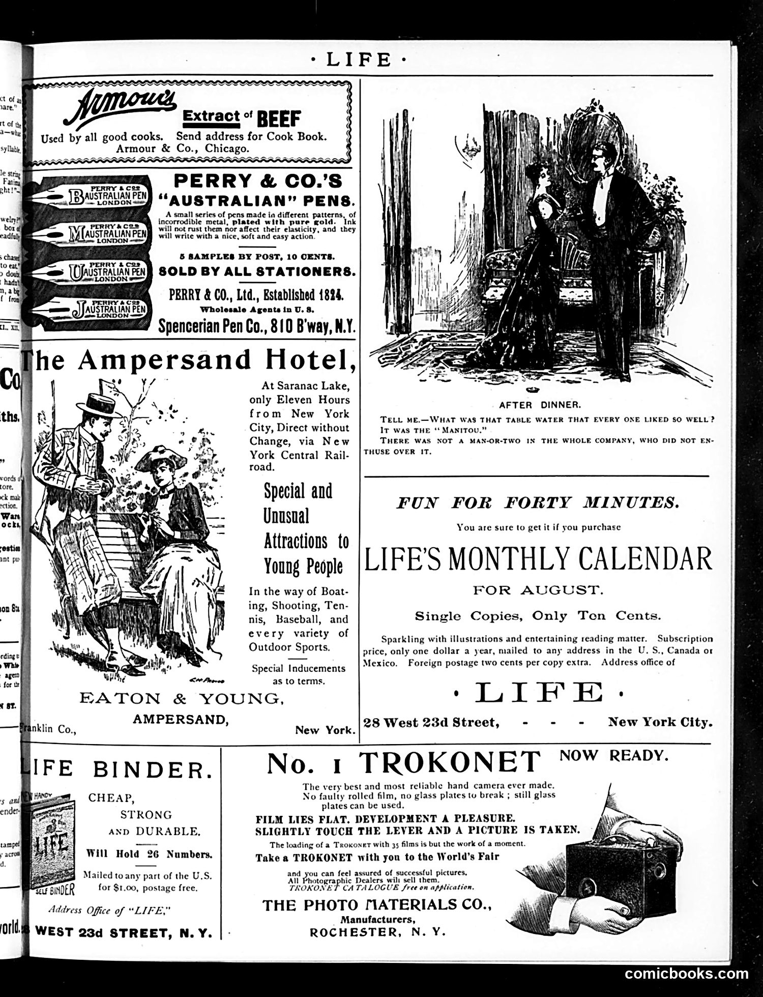 Life — August 17, 1893 — page 17 of 20
