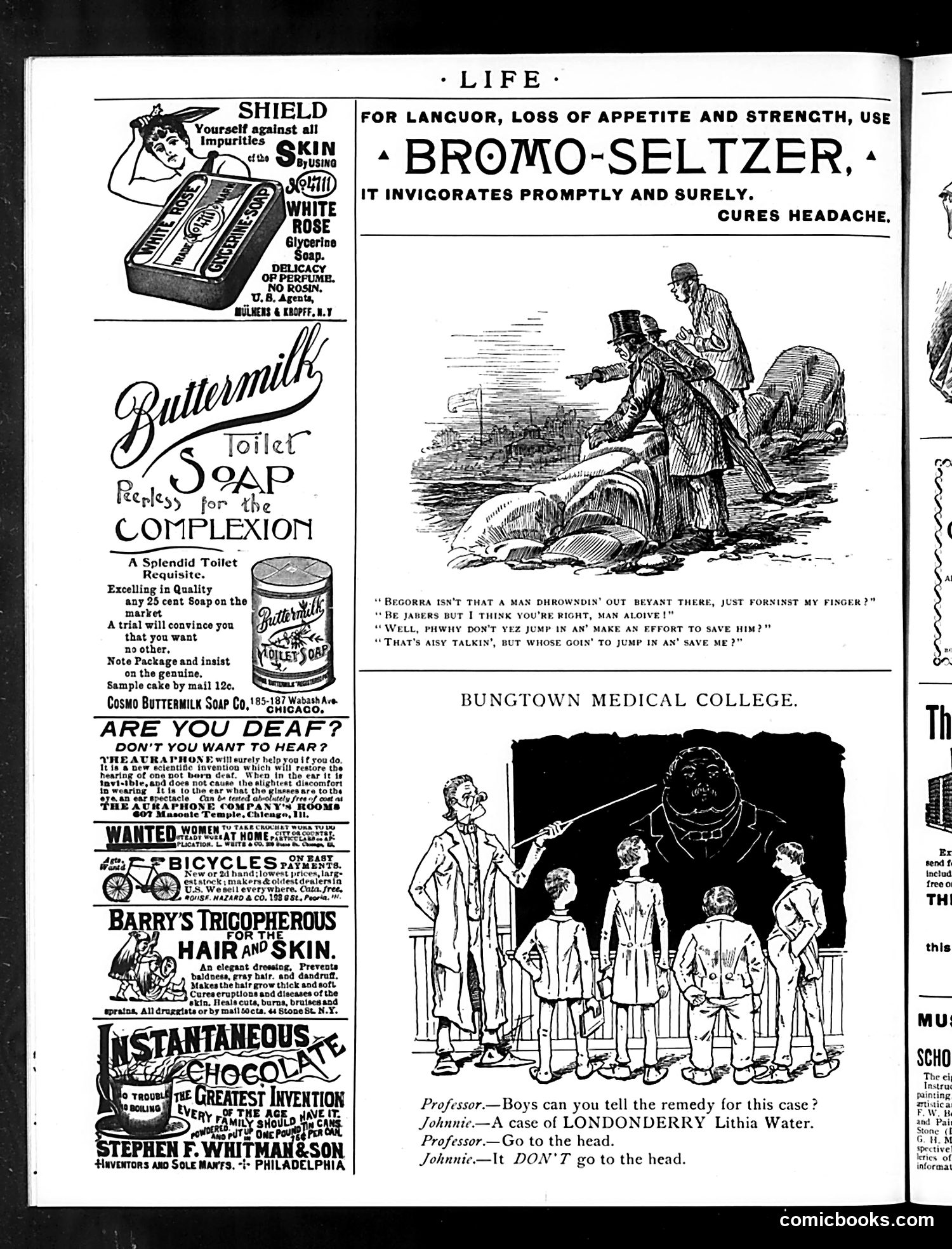 Life — August 17, 1893 — page 18 of 20