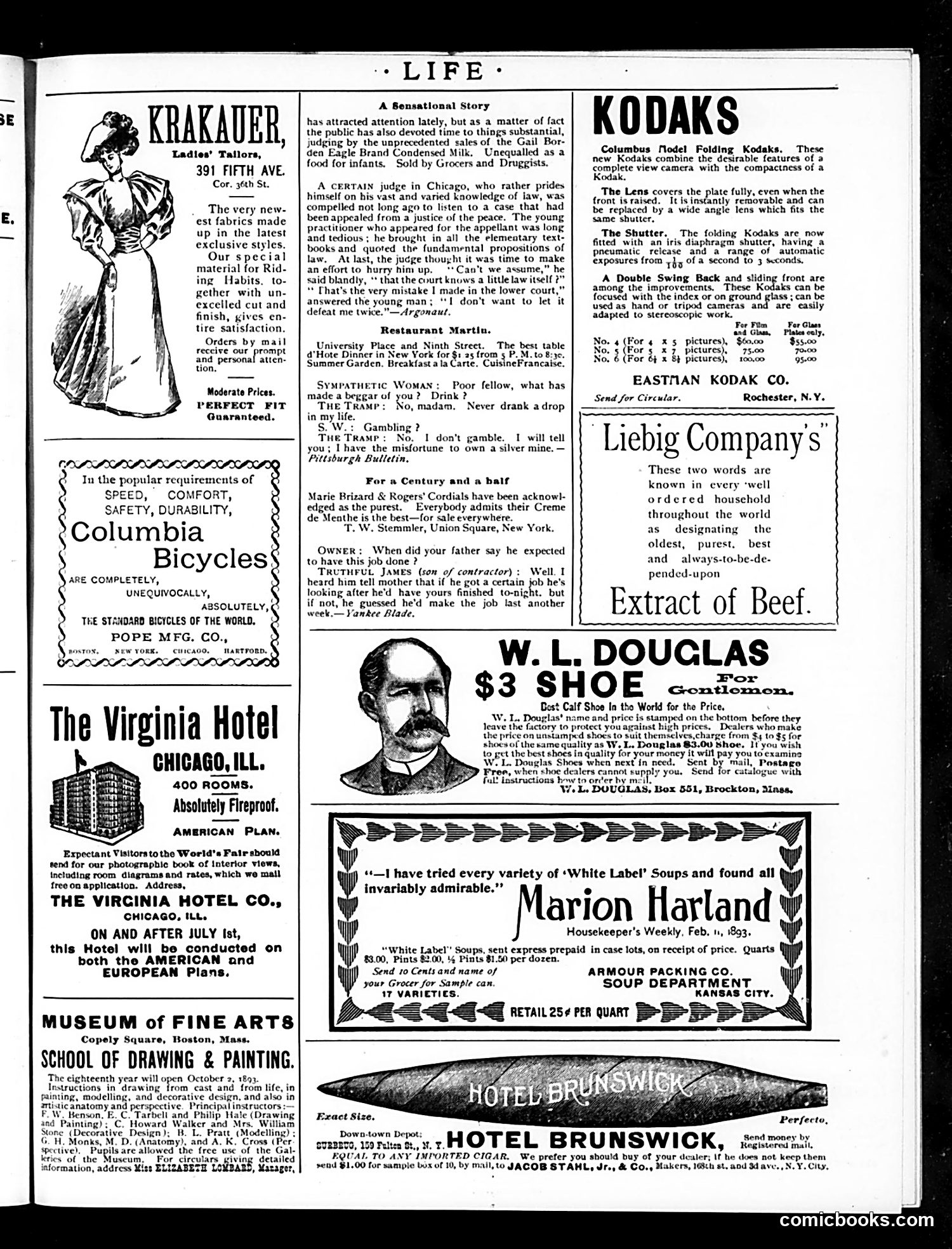 Life — August 17, 1893 — page 19 of 20